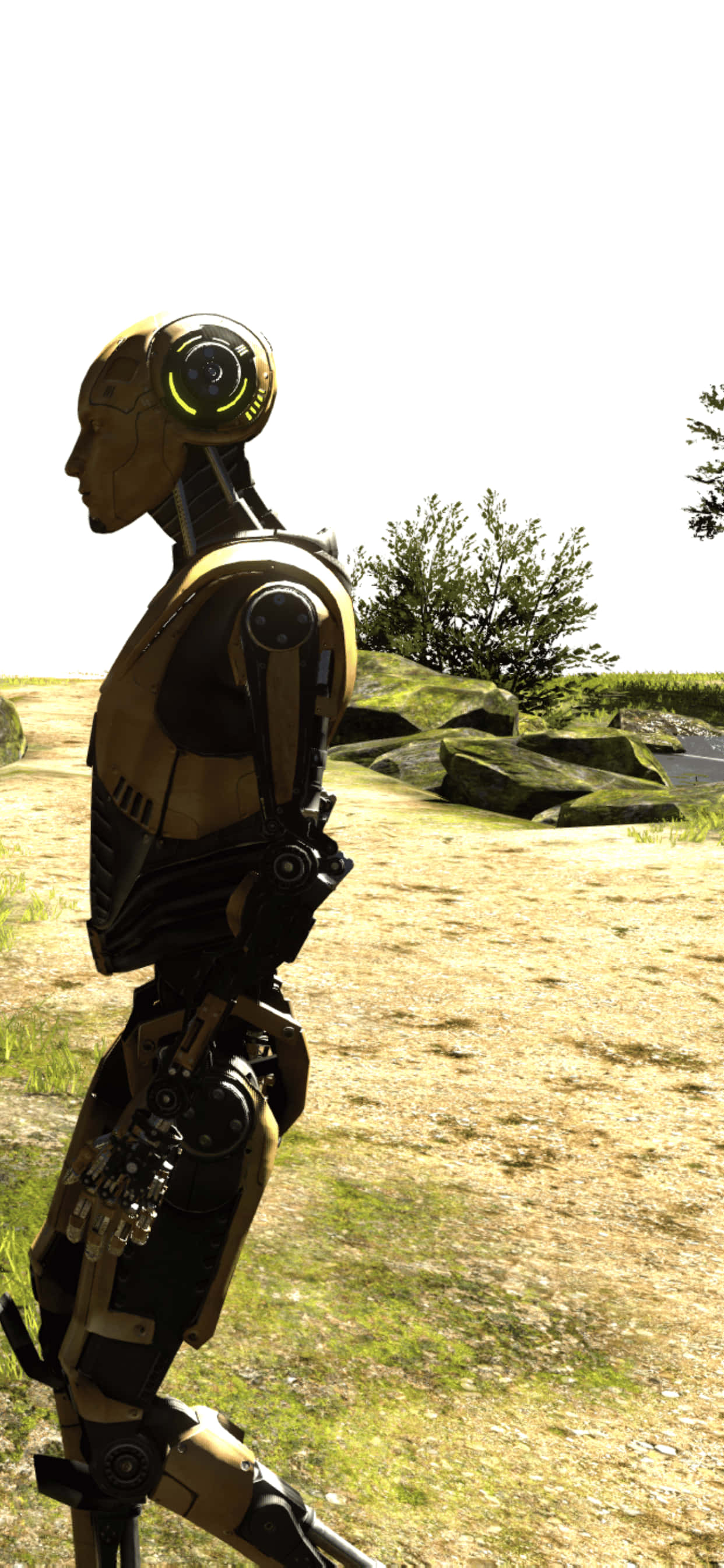 'n robot loop in 'n veld Muurpapier