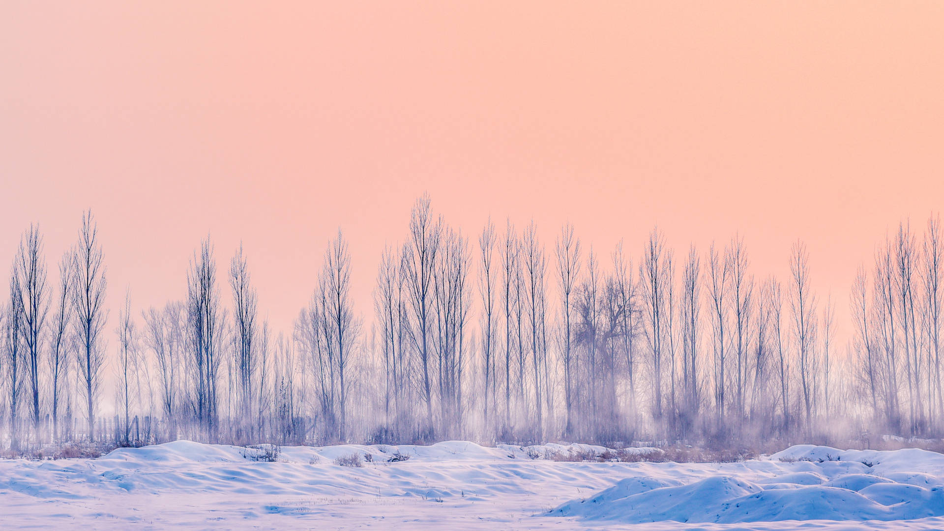 'n Rustige winterlandskap — Pastel estetiese GIF Muurpapier