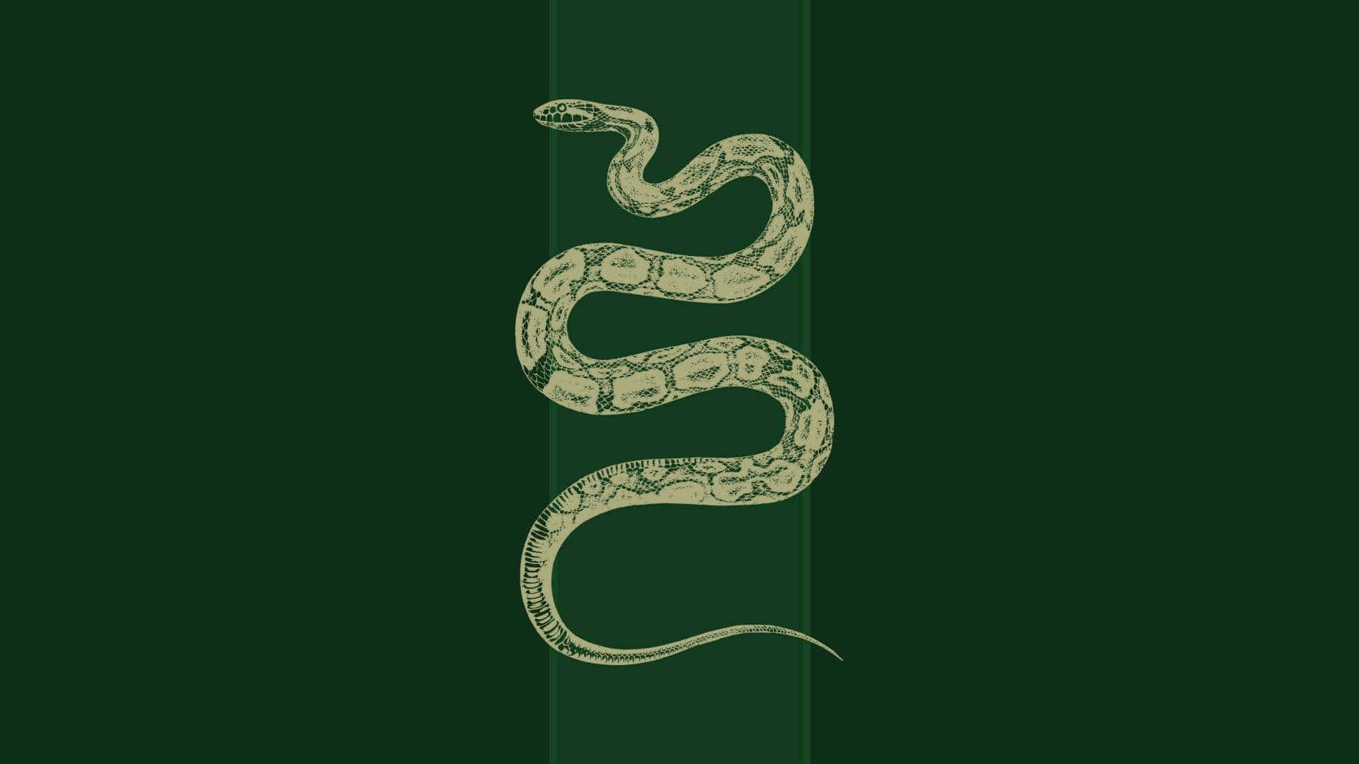 'n Slytherin-slaapkamer-estetika Muurpapier