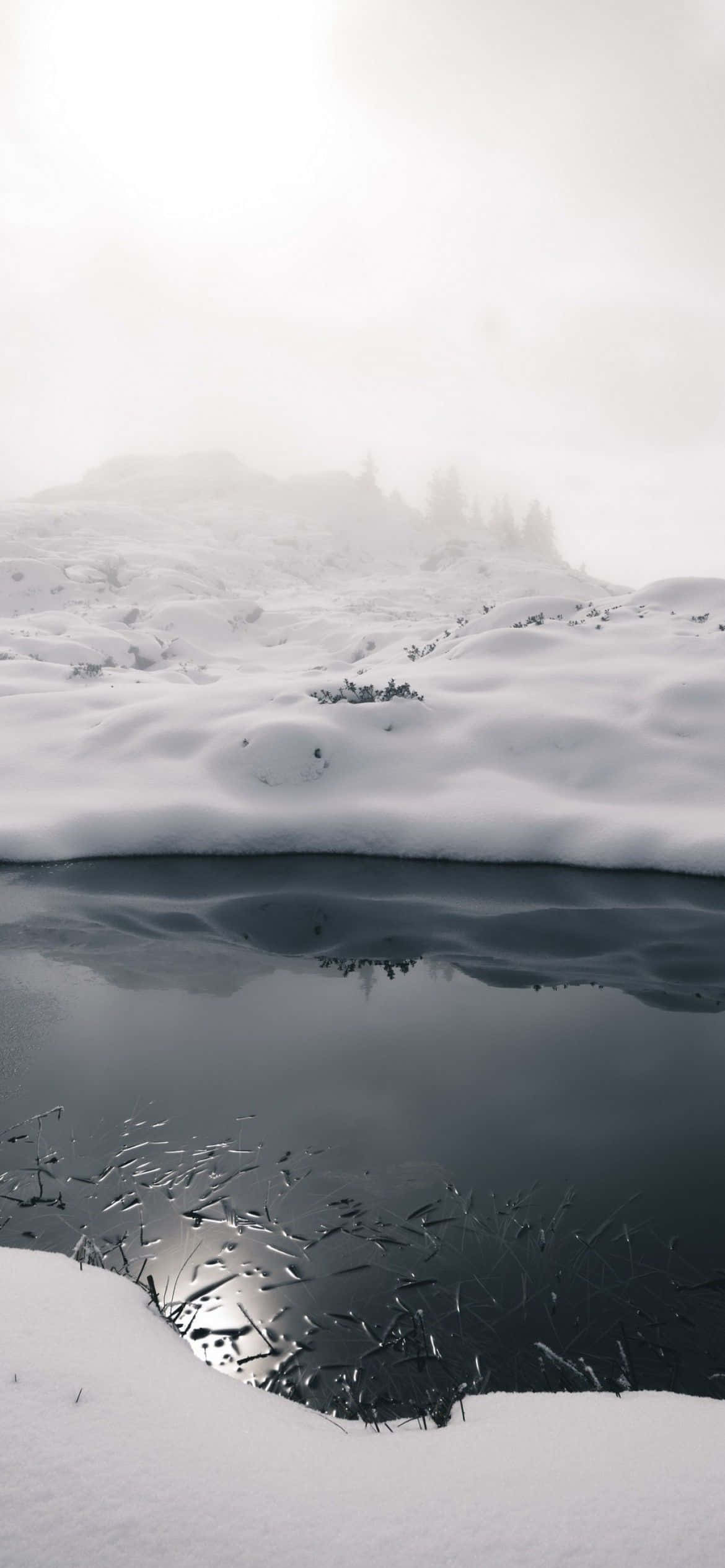 'n sneeubedekte meer met 'n weerkaatsing Muurpapier