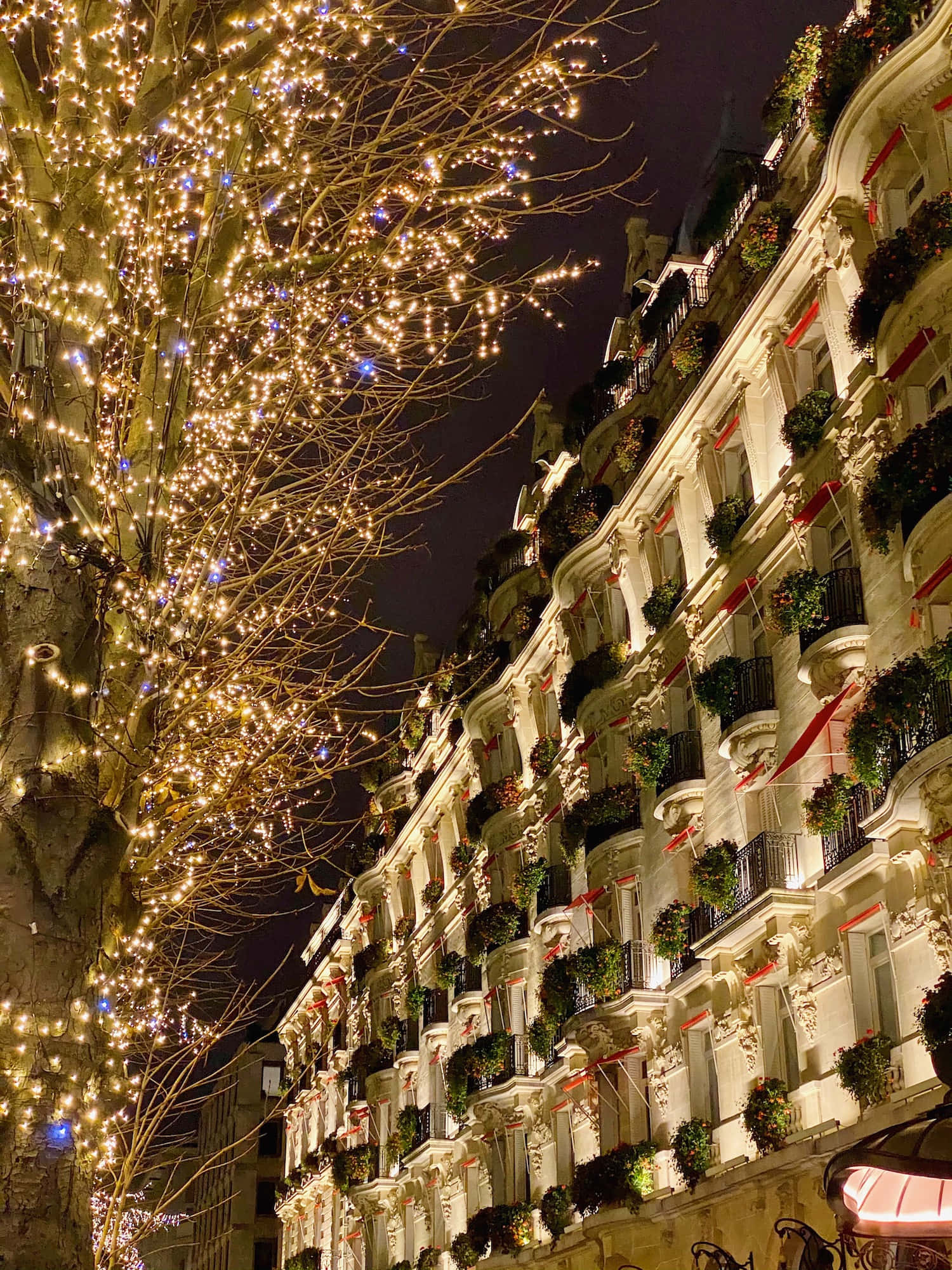 'n straat met Kersfeesliggies en 'n boom Muurpapier