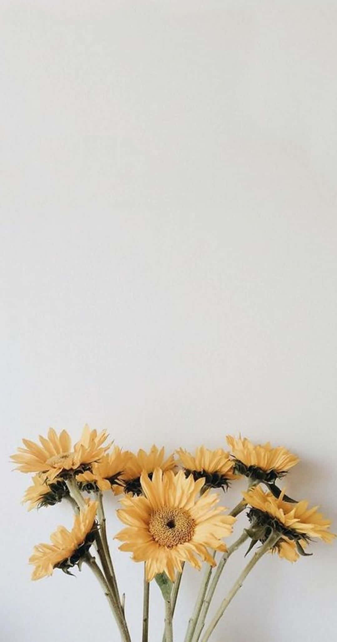 n vaas geel sonneblomme wat op n wit tafel staan Muurpapier