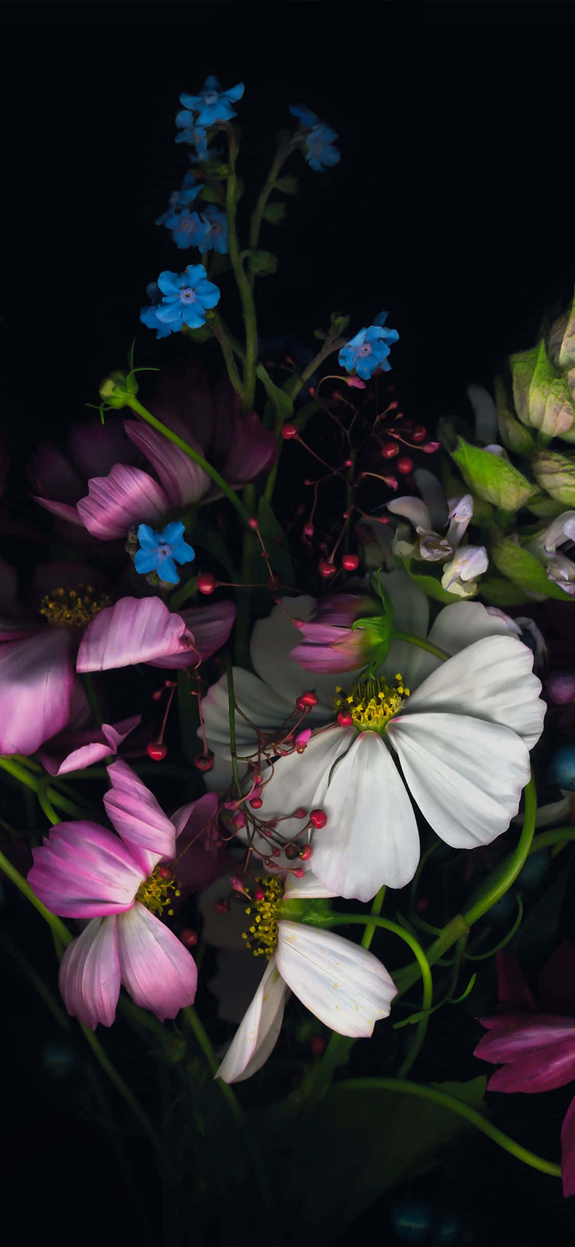 'n vaas met blomme Muurpapier