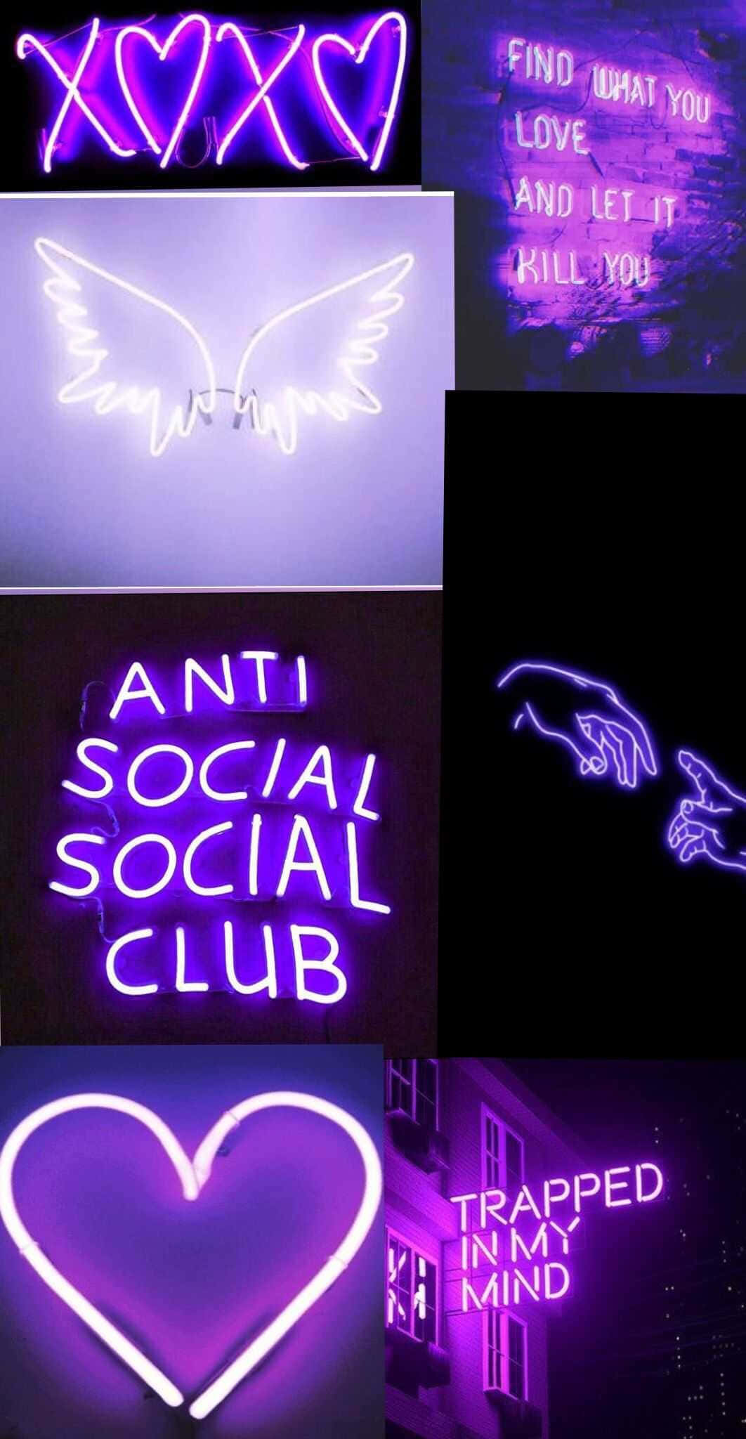 'n versameling neontekens met woorde soos anti social club Muurpapier