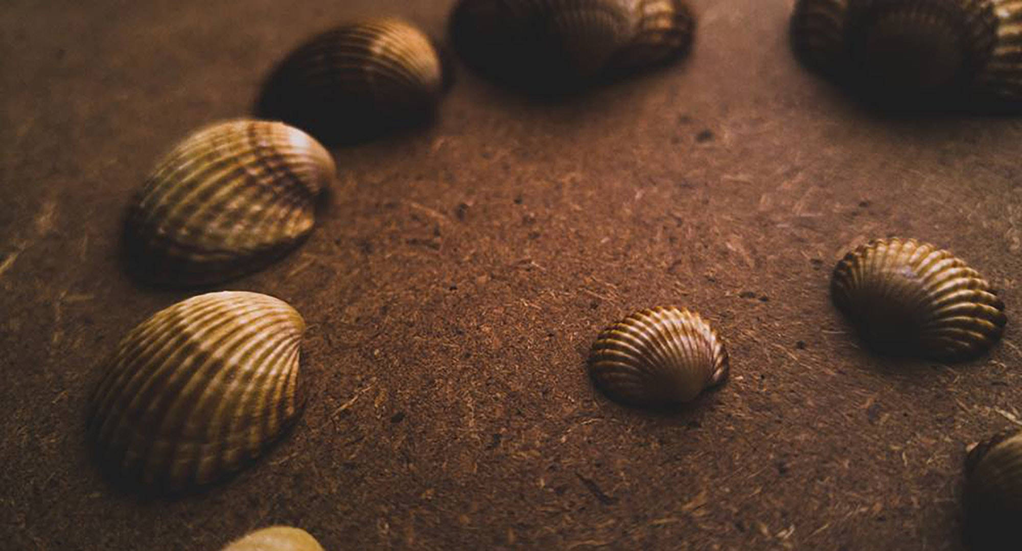'n Visuele Fees van Goue Estetiese Mossels Muurpapier
