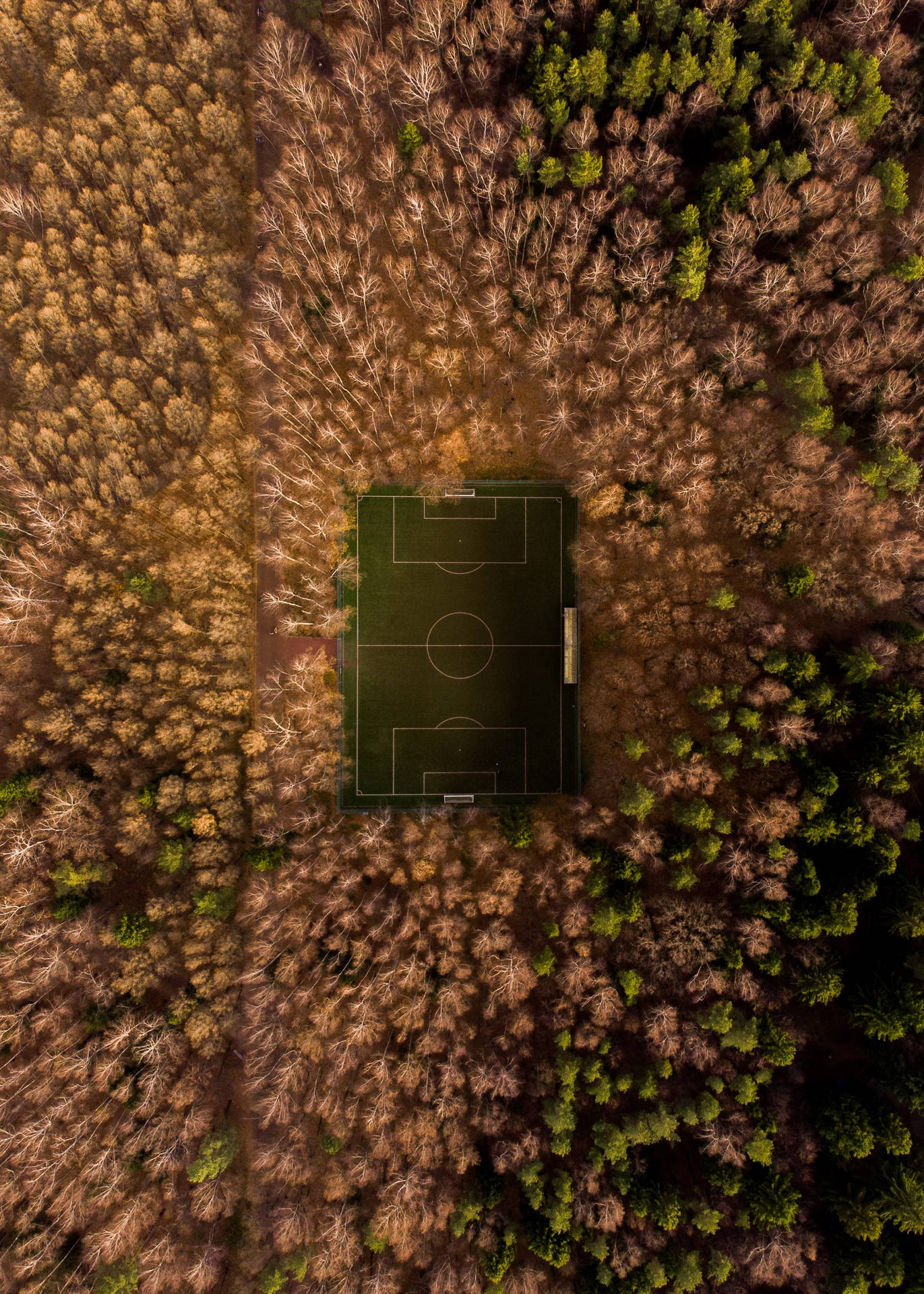 Sokkerveld omring deur bome lugfoto agtergrond. — Sokker GIF Muurpapier