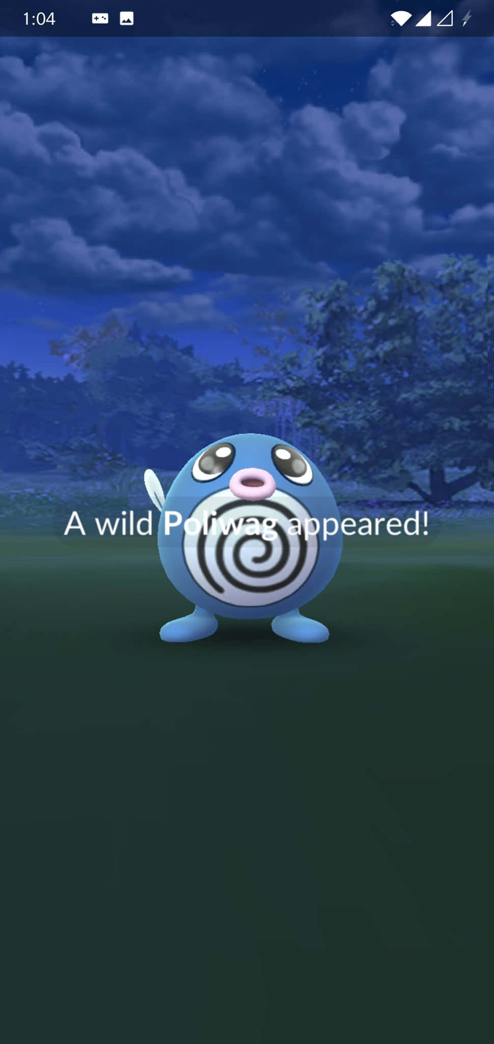 'n Wilde Poliwag het Verskyn Muurpapier