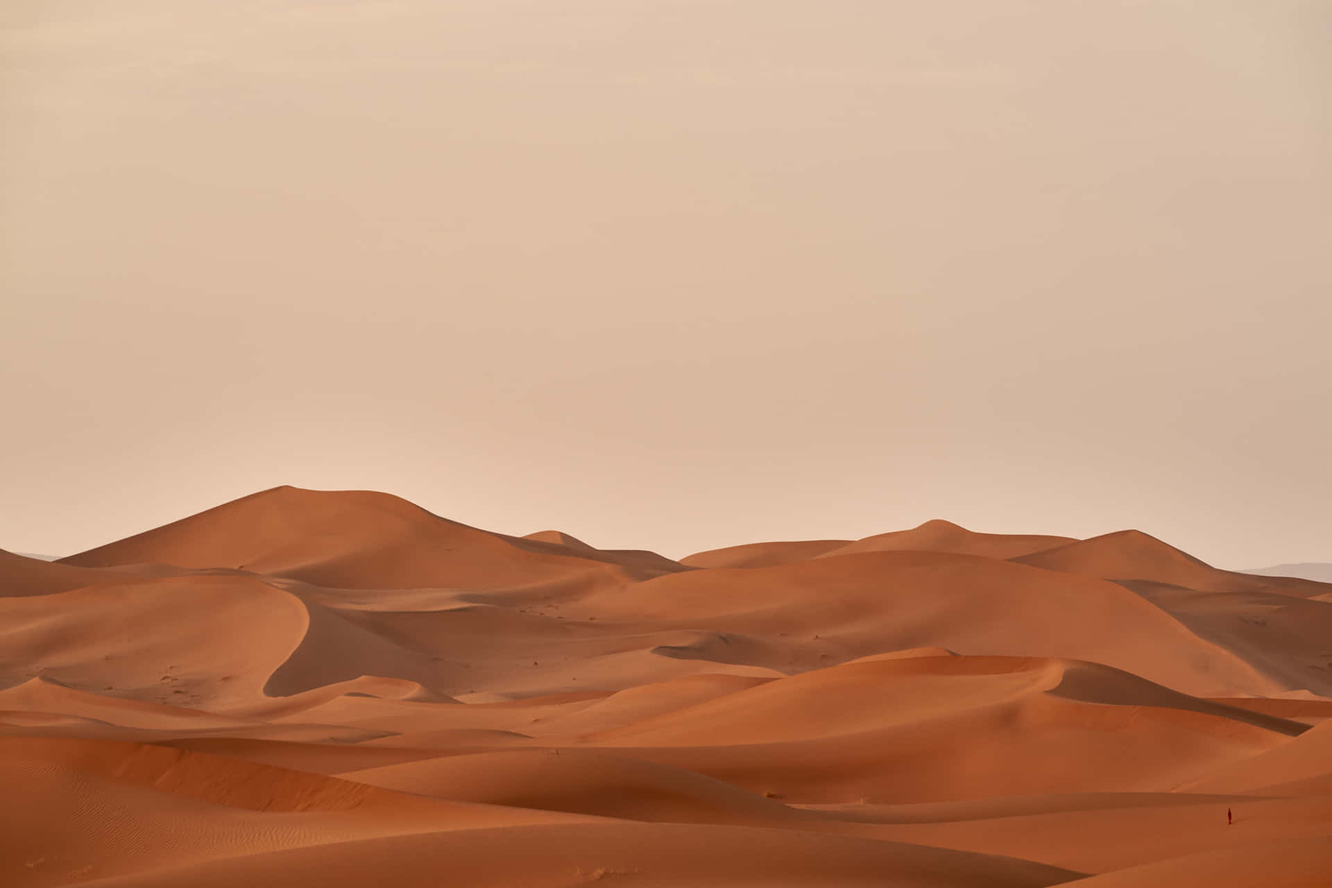 n woestynlandskap met sandduine en n sandstorm — Beige estetiese GIF Muurpapier