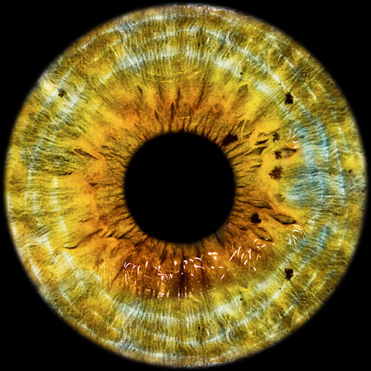 Nabyfoto Menslike Oog-Iris Tekstuur Muurpapier