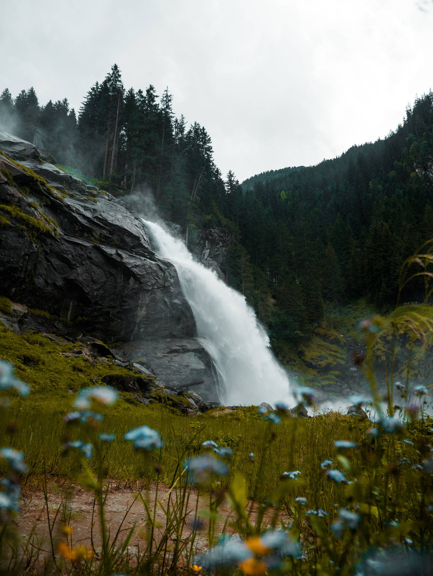 Waterval landskap met blomme muurpapier.