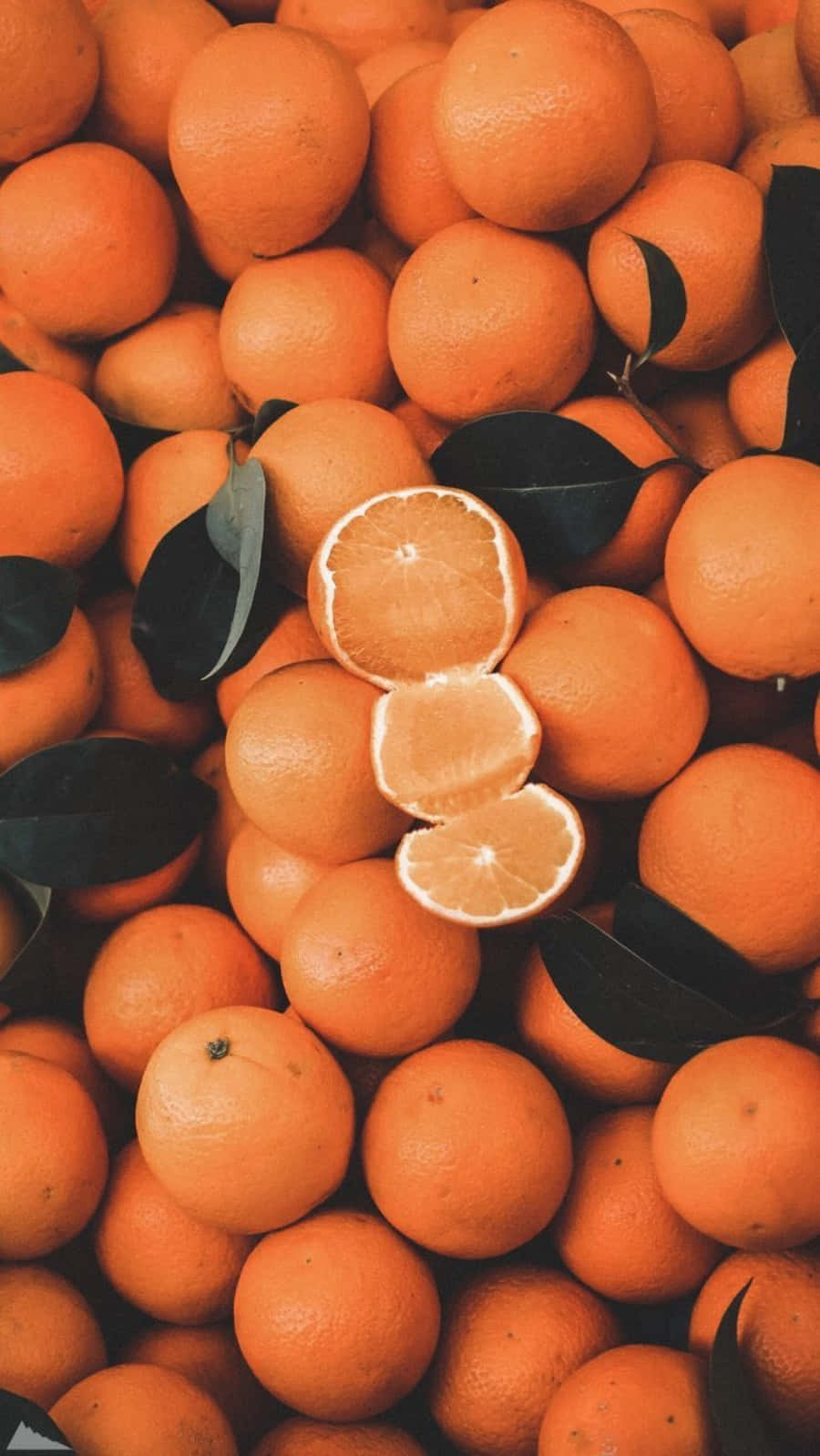 Natuurlike skoonheid kom in baie kleure voor, insluitend Oranje 🍊 Muurpapier