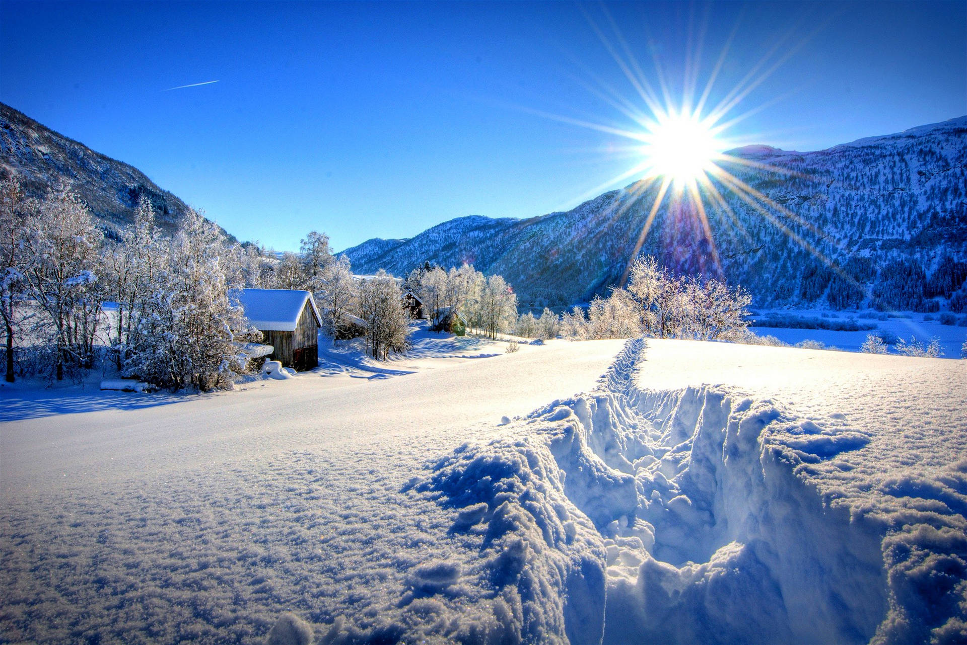 Natuurwinterberg-agtergrond