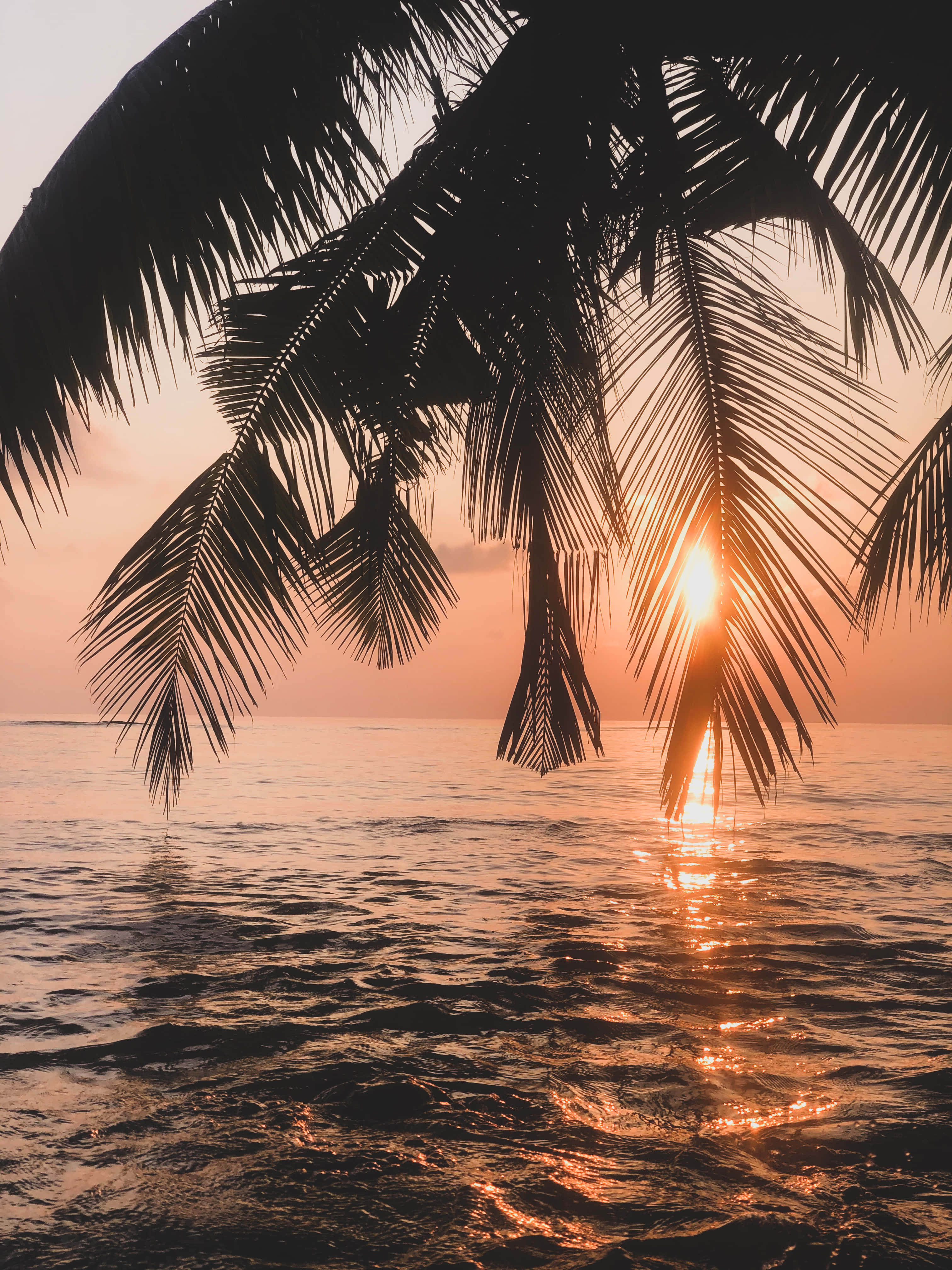 Neem 'n oomblik om die skoonheid van 'n strandsononder te geniet Muurpapier