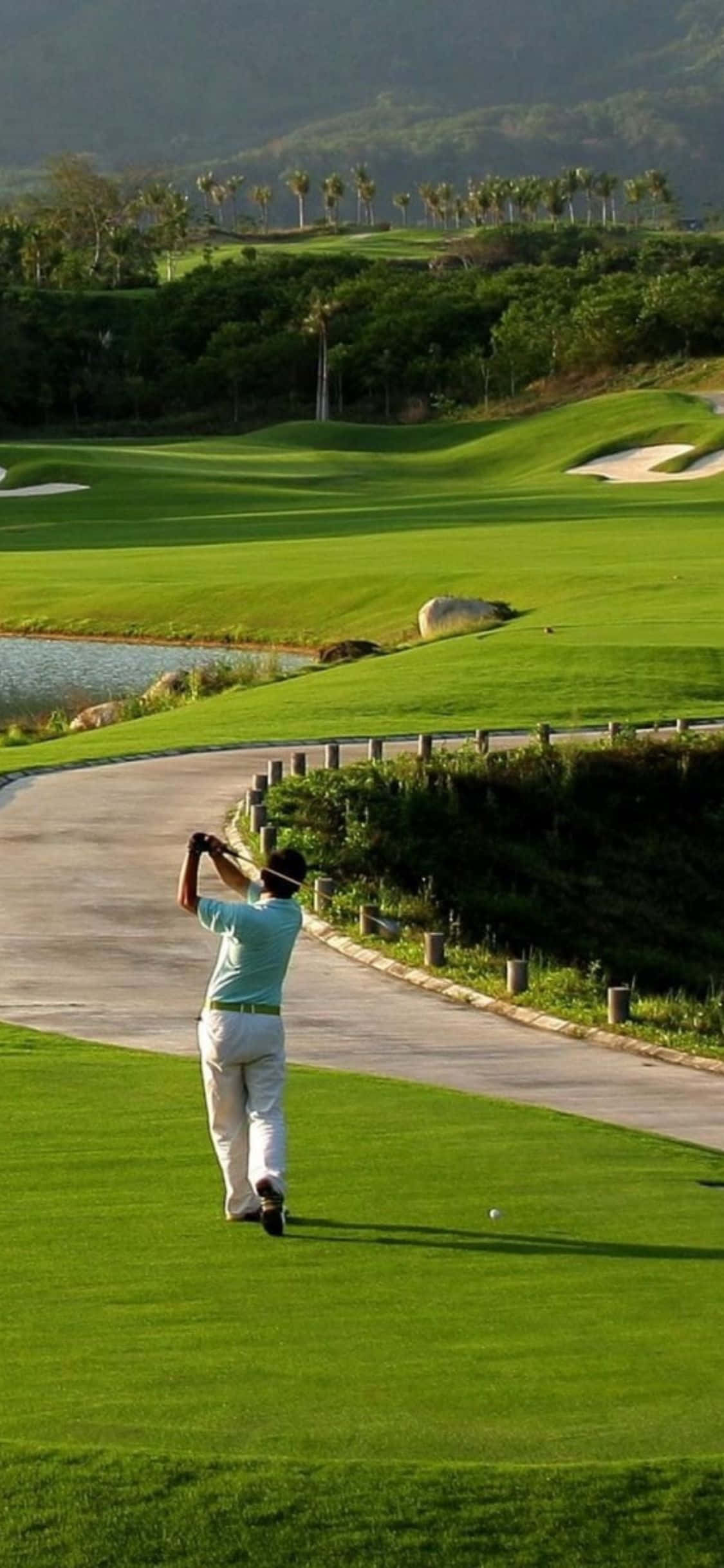 Neem 'n Swaai op hierdie Pragtige Baan Muurpapier
