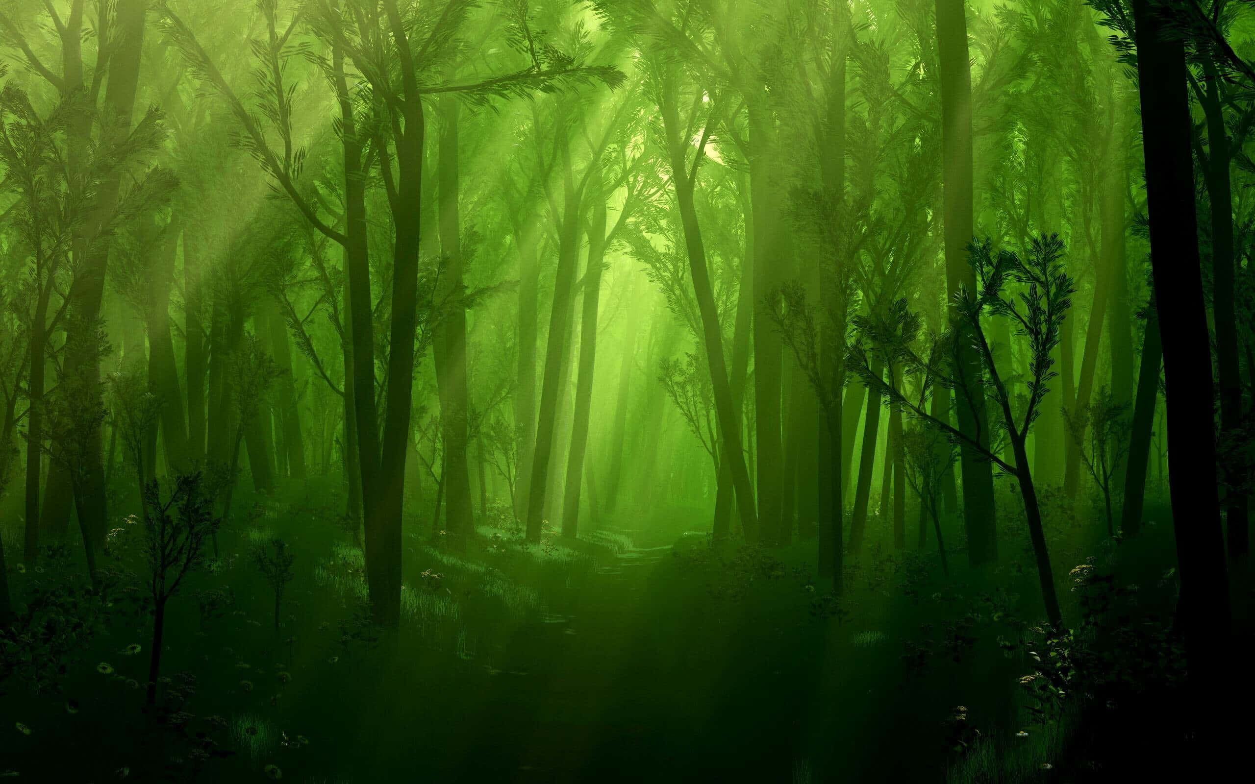 Neon Groen Magiese Woud Muurpapier