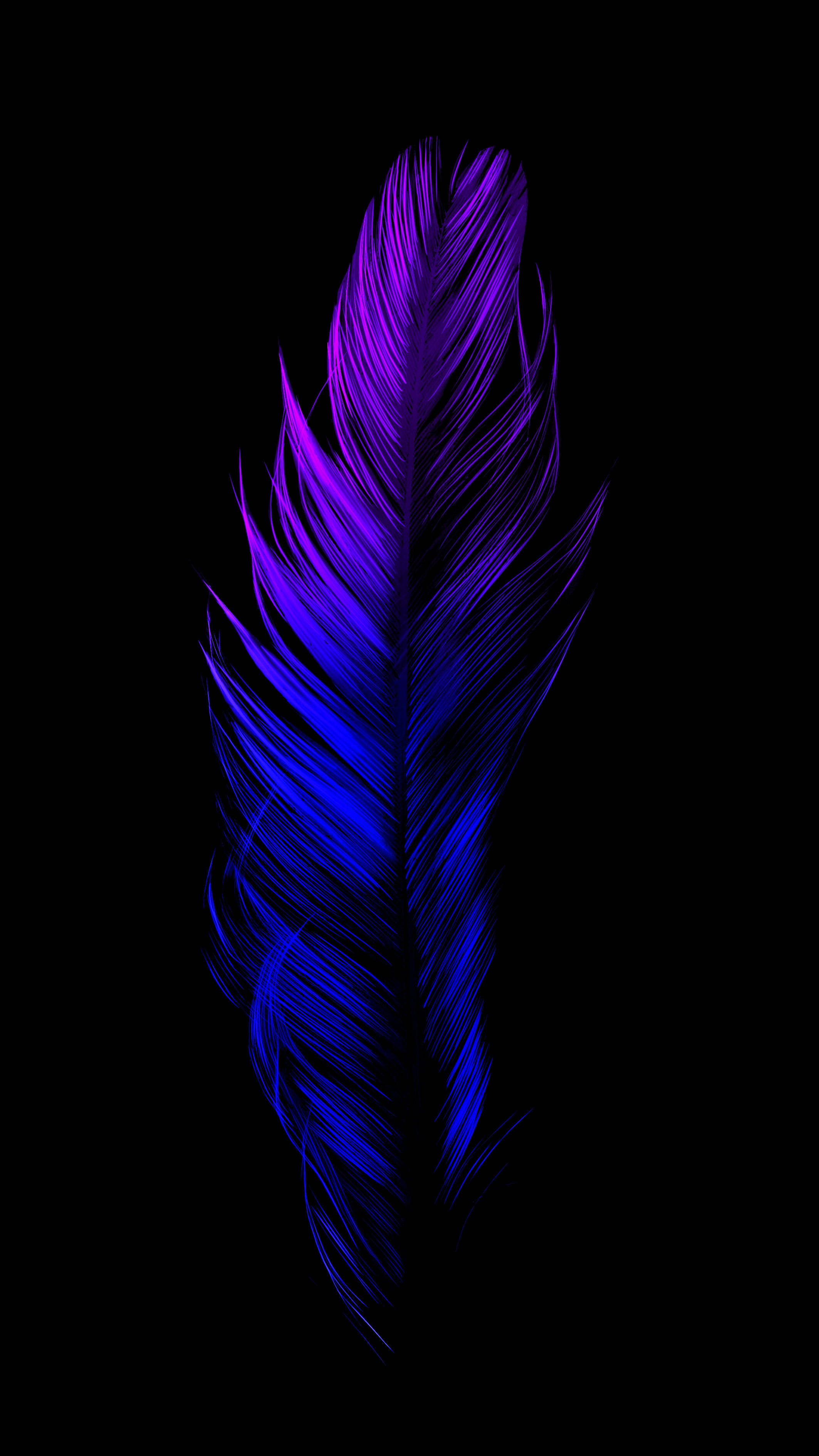 Neon Veer Esteties Donkerblou HD Muurpapier