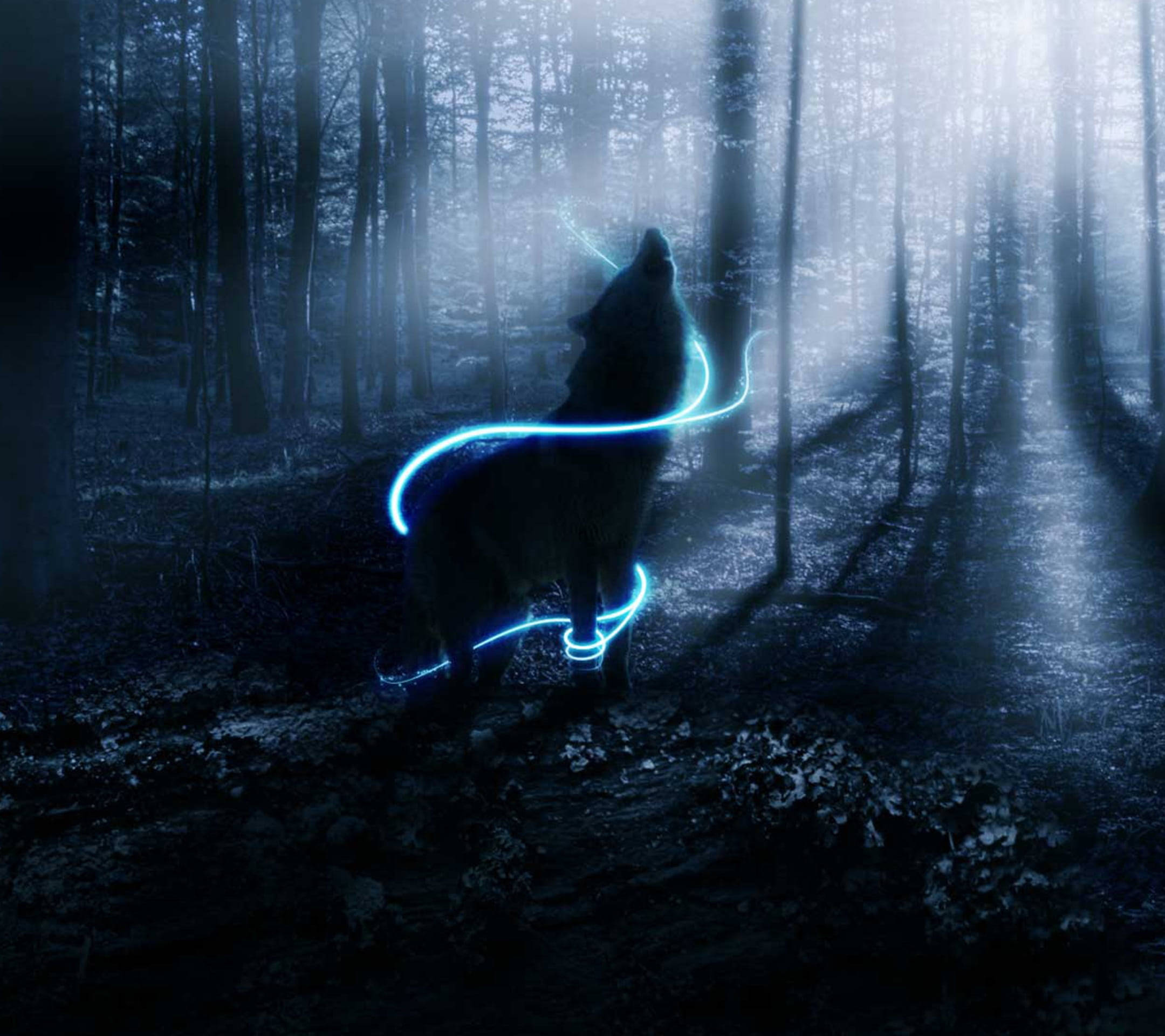 Neonblou Anime Wolf in Eteriese Woud Muurpapier