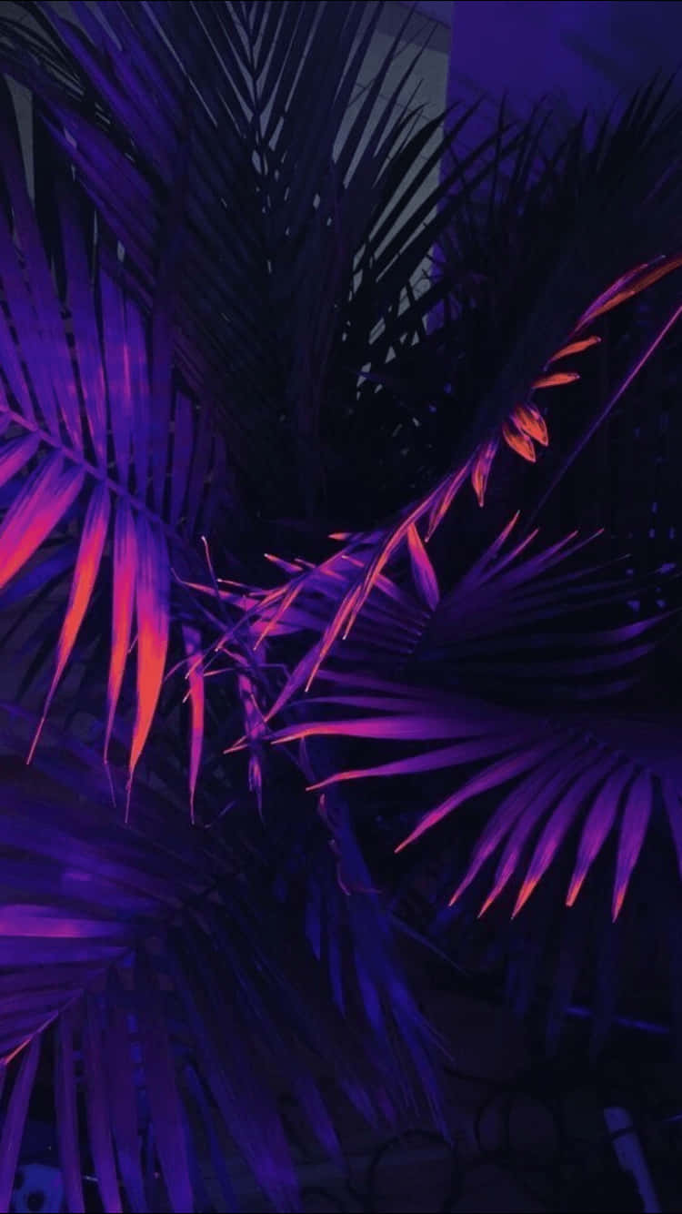 Neonpalmplante-estetika Pers Agtergrond Muurpapier