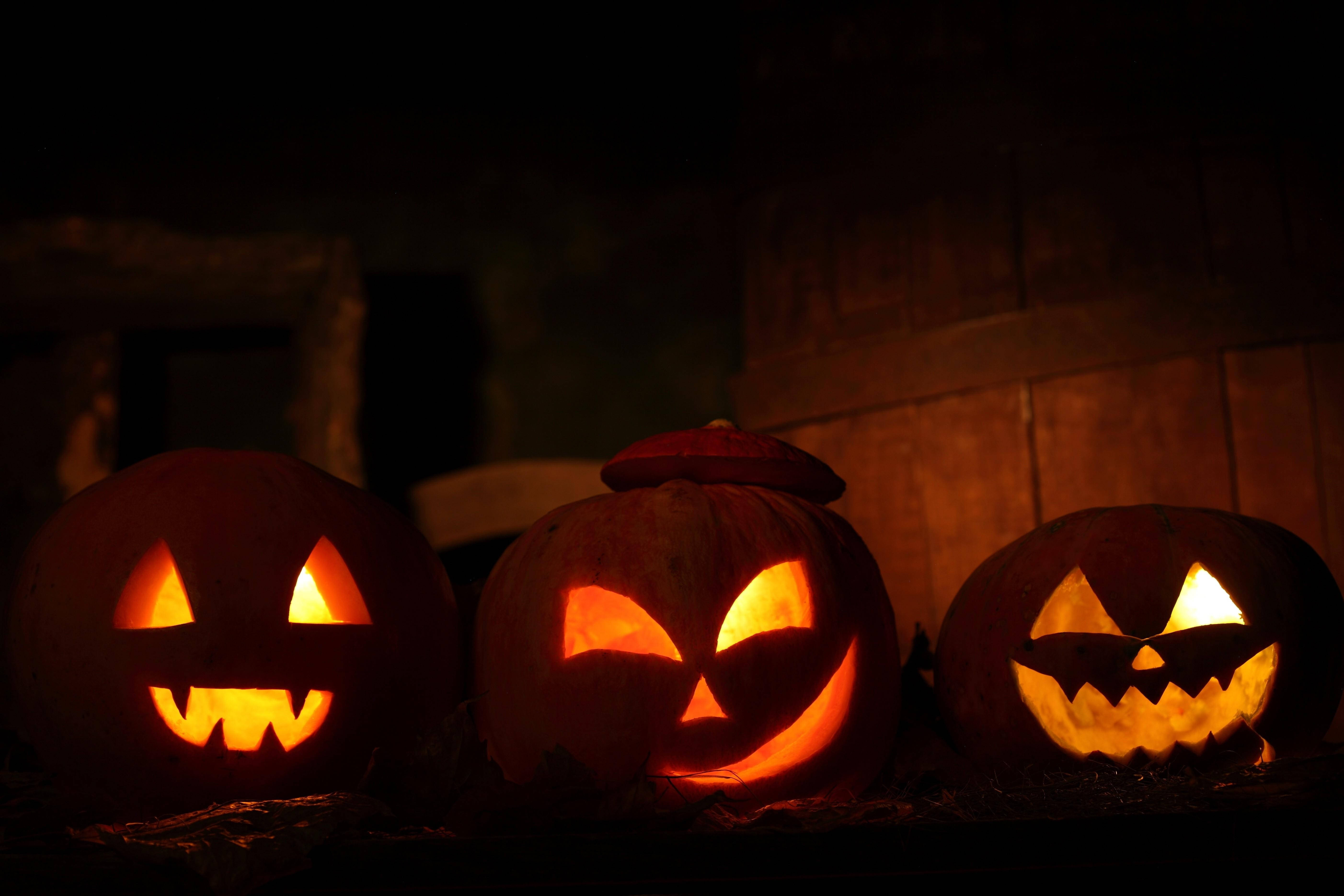 Net betyds vir Halloween, uitgeholde pampoene verlig deur 'n volmaan Muurpapier