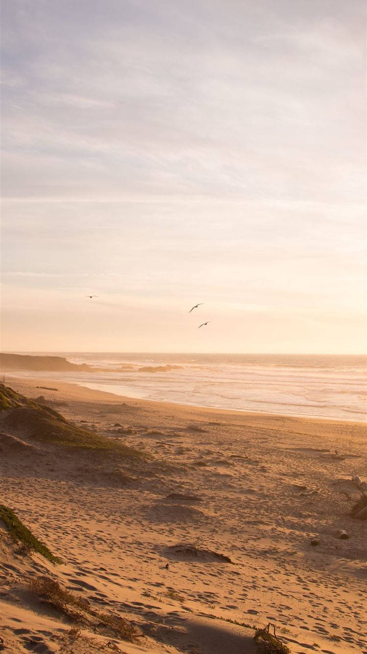 Neutrale iPhone Oseaan Strand Muurpapier
