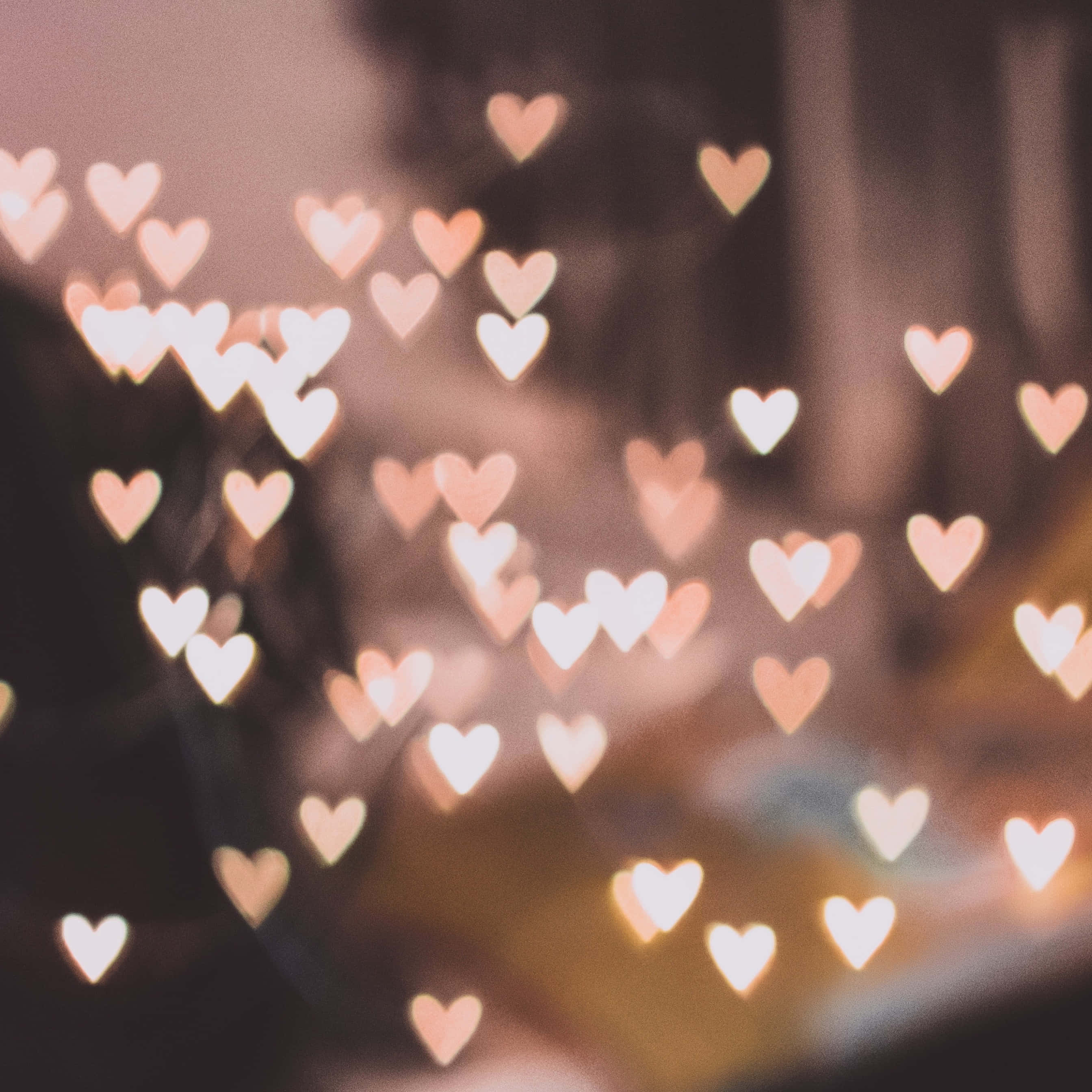 Niks is ouliker as 'n Valentynsdag-verrassing nie! Muurpapier
