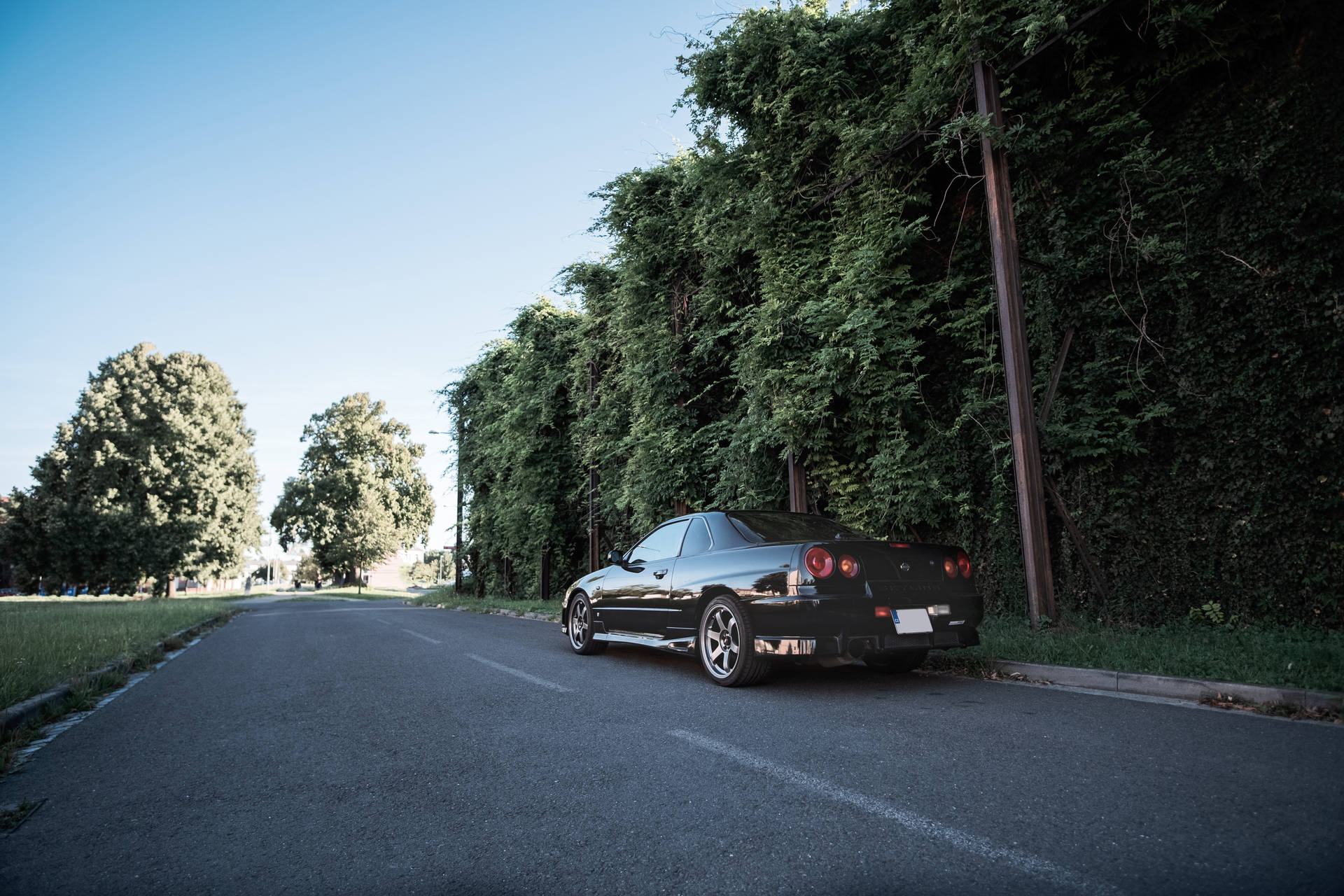 swart koepee op pad naby groen bome gedurende die dag — Motor GIF Muurpapier