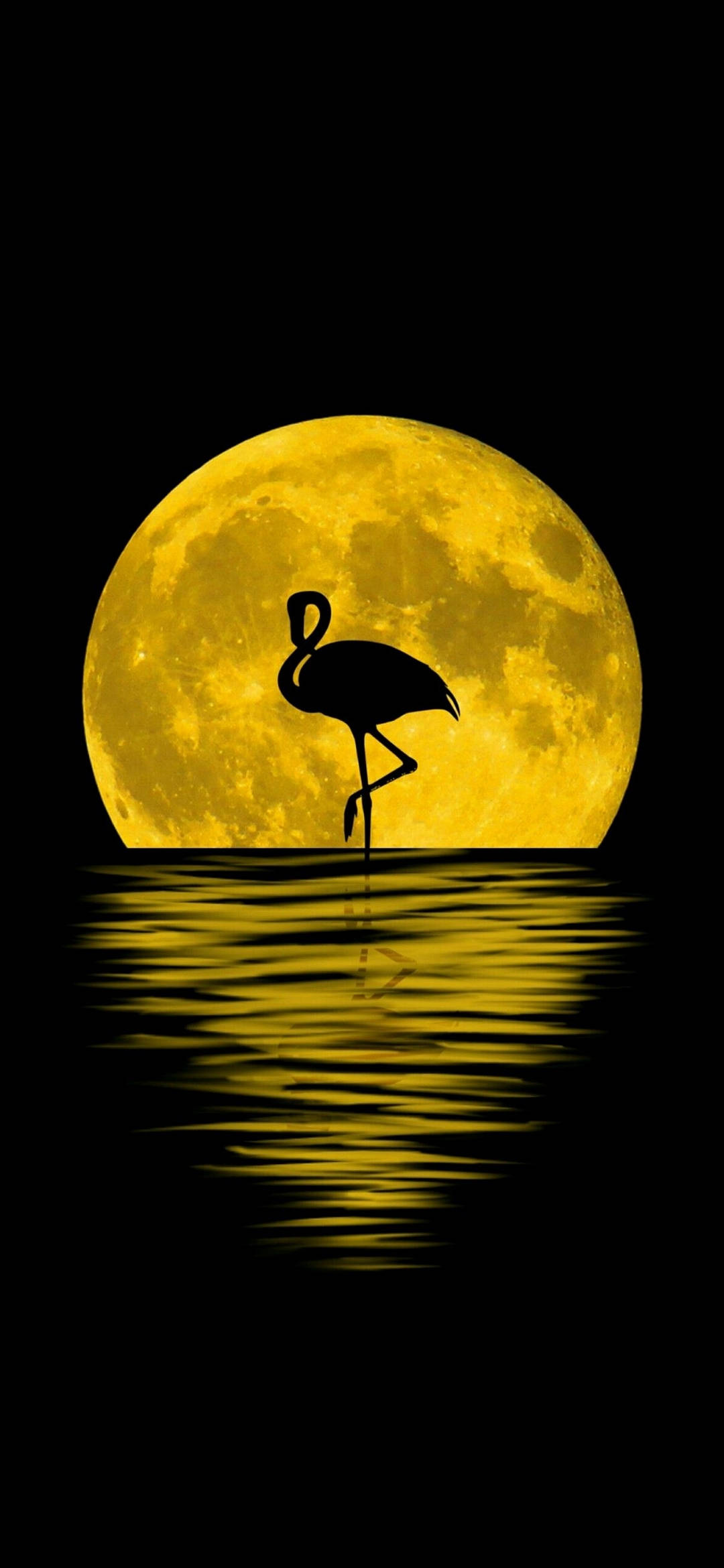 Note 10 Plus Flamingo Maan Muurpapier