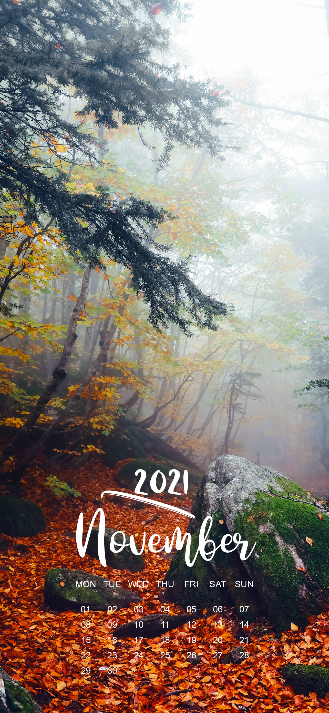 November 2021 Kalender Mistige Bos Muurpapier