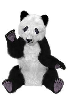 Omgekeerde Kleur Pandabee Muurpapier