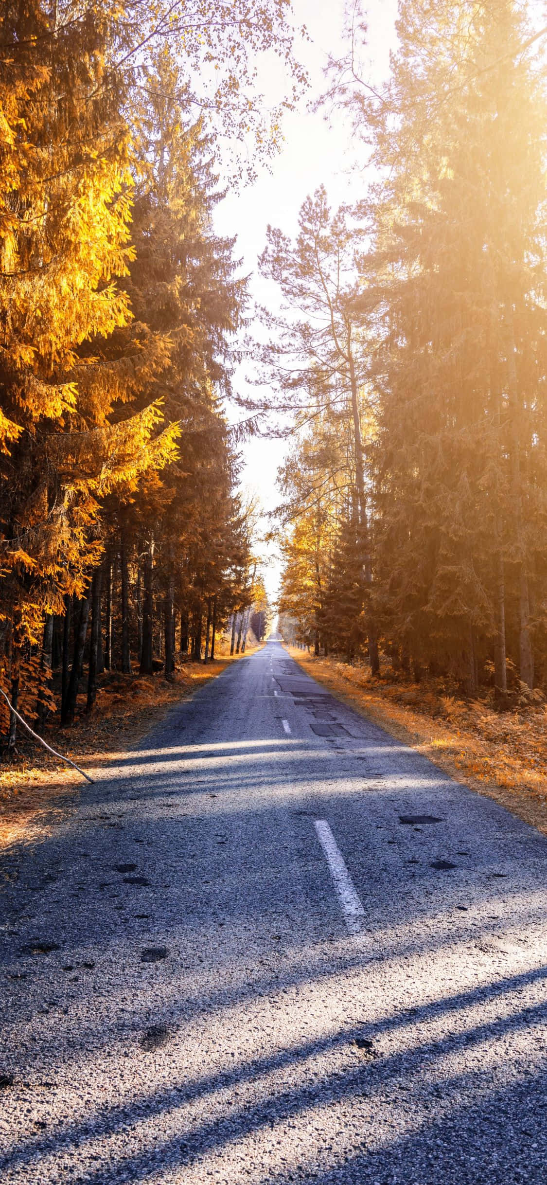 Omhels Sereniteit - iPhone X Natuur Agtergrond Muurpapier