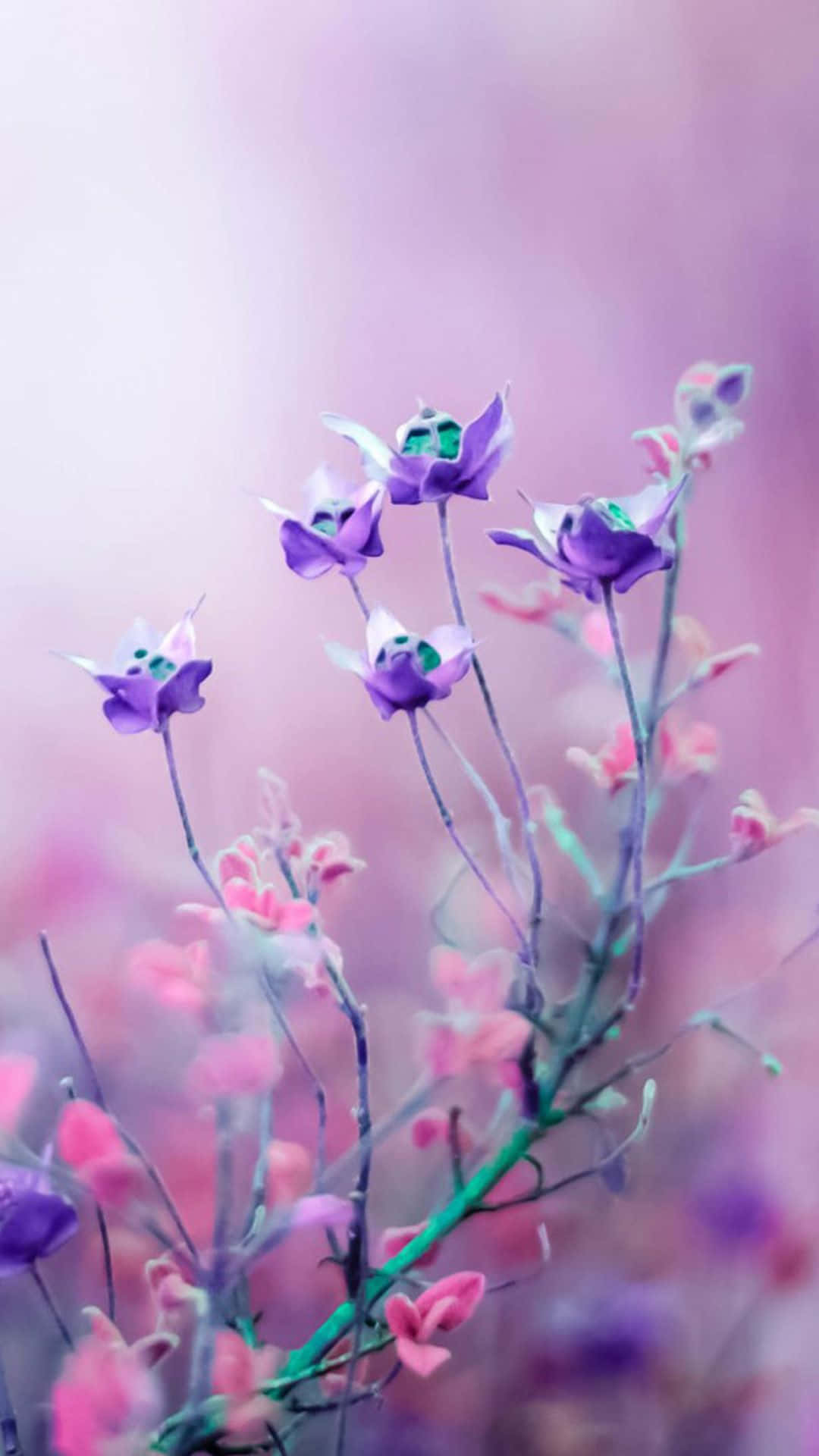 Onderskrif: Betowerende Pienk Blomme-agtergrond Muurpapier