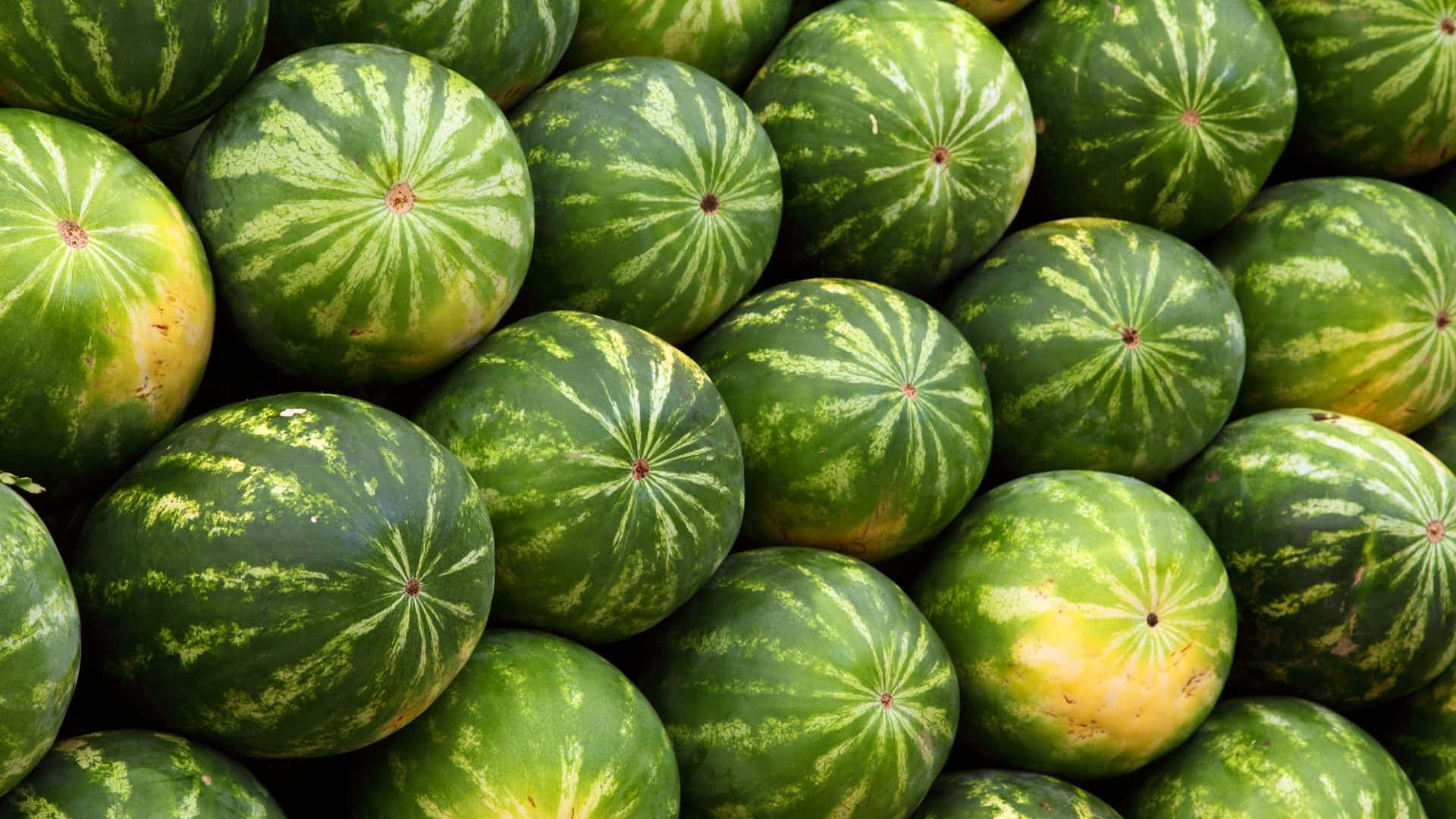 Onderskrif: 'n Verfrissende Somerhappie Muurpapier
