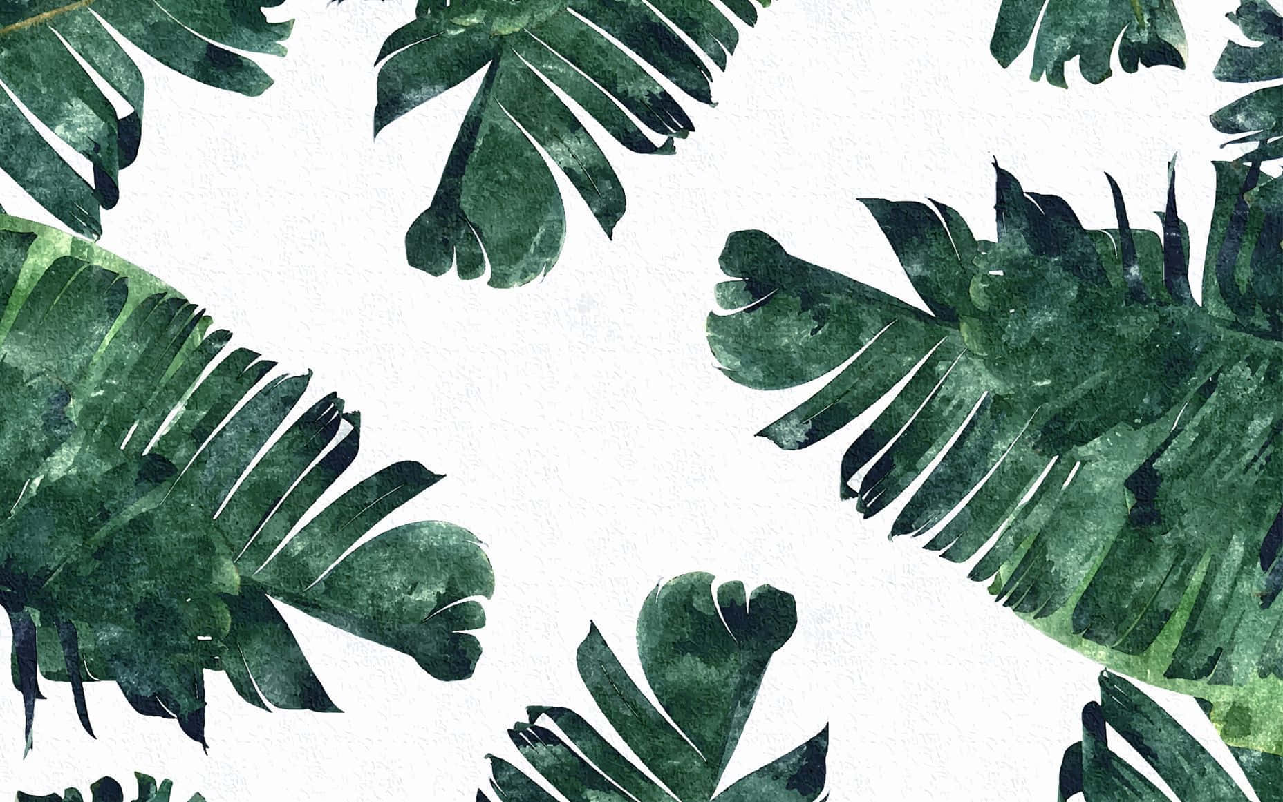 Onderskrif: Omhels die Eenvoud van die Natuur Muurpapier