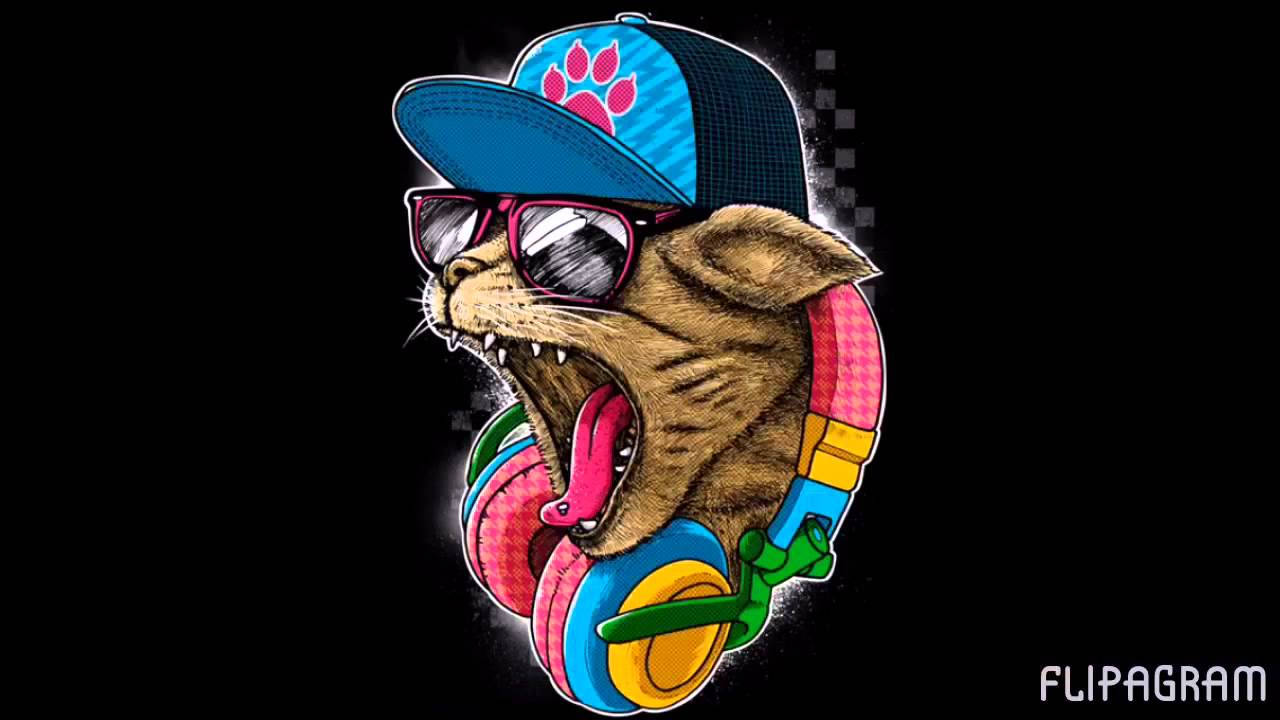 Onderskrif: Smaakvolle Punk Rock Kat Muurpapier