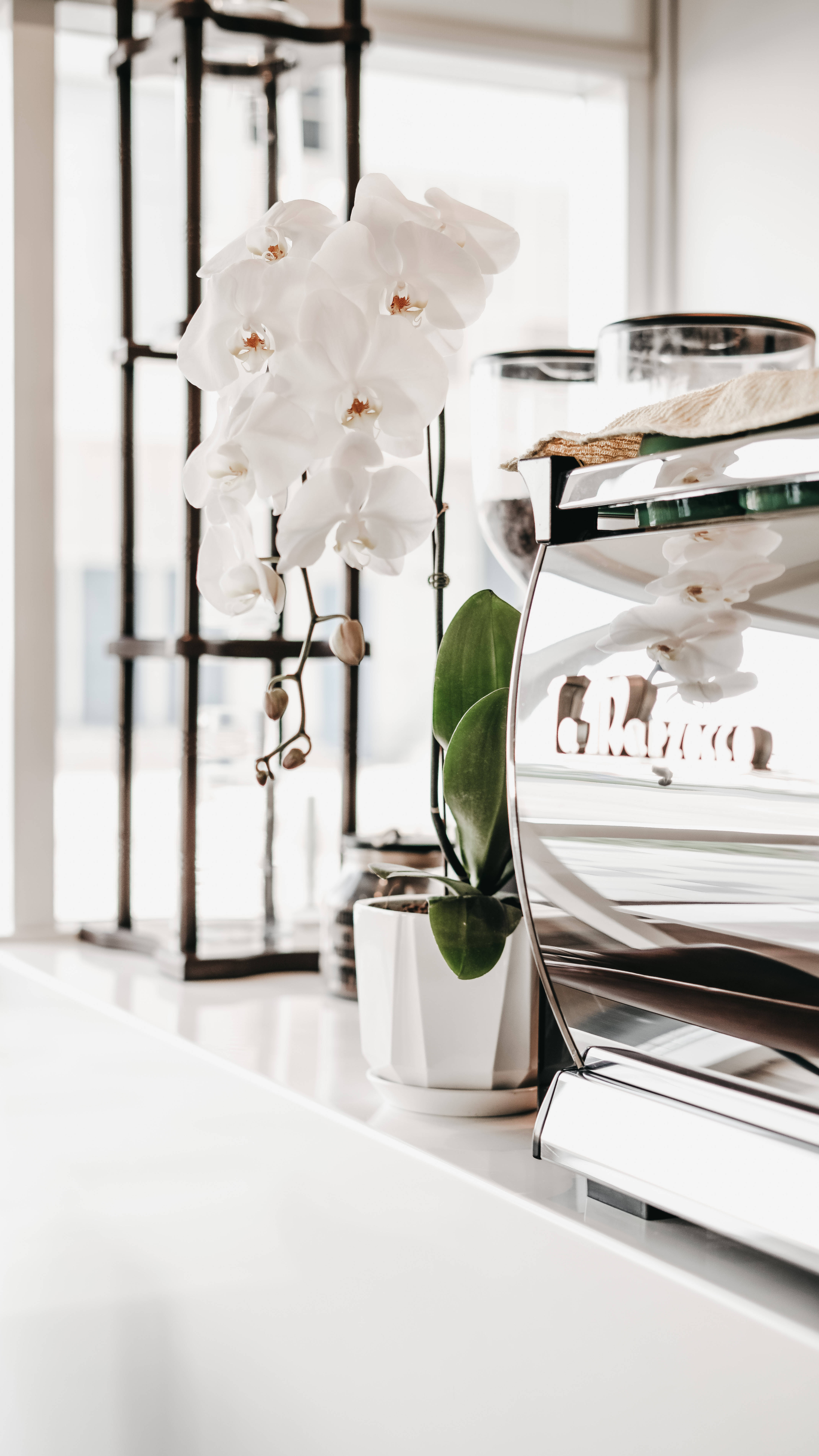 Onderskrif: Subtiele Elegansie: Beige Minimalistiese Ontwerp met 'n Wit Motief Muurpapier