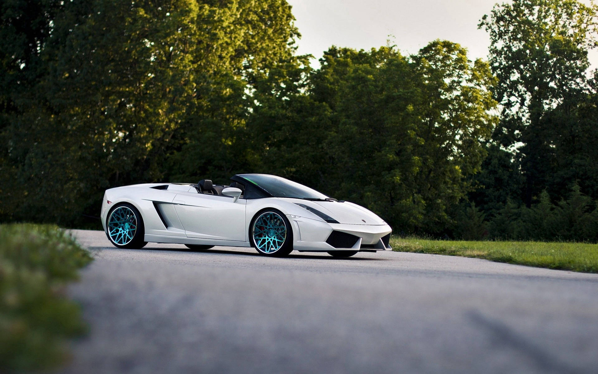 Wit Lamborghini Gallardo Spyder kap-af-agtergrond.