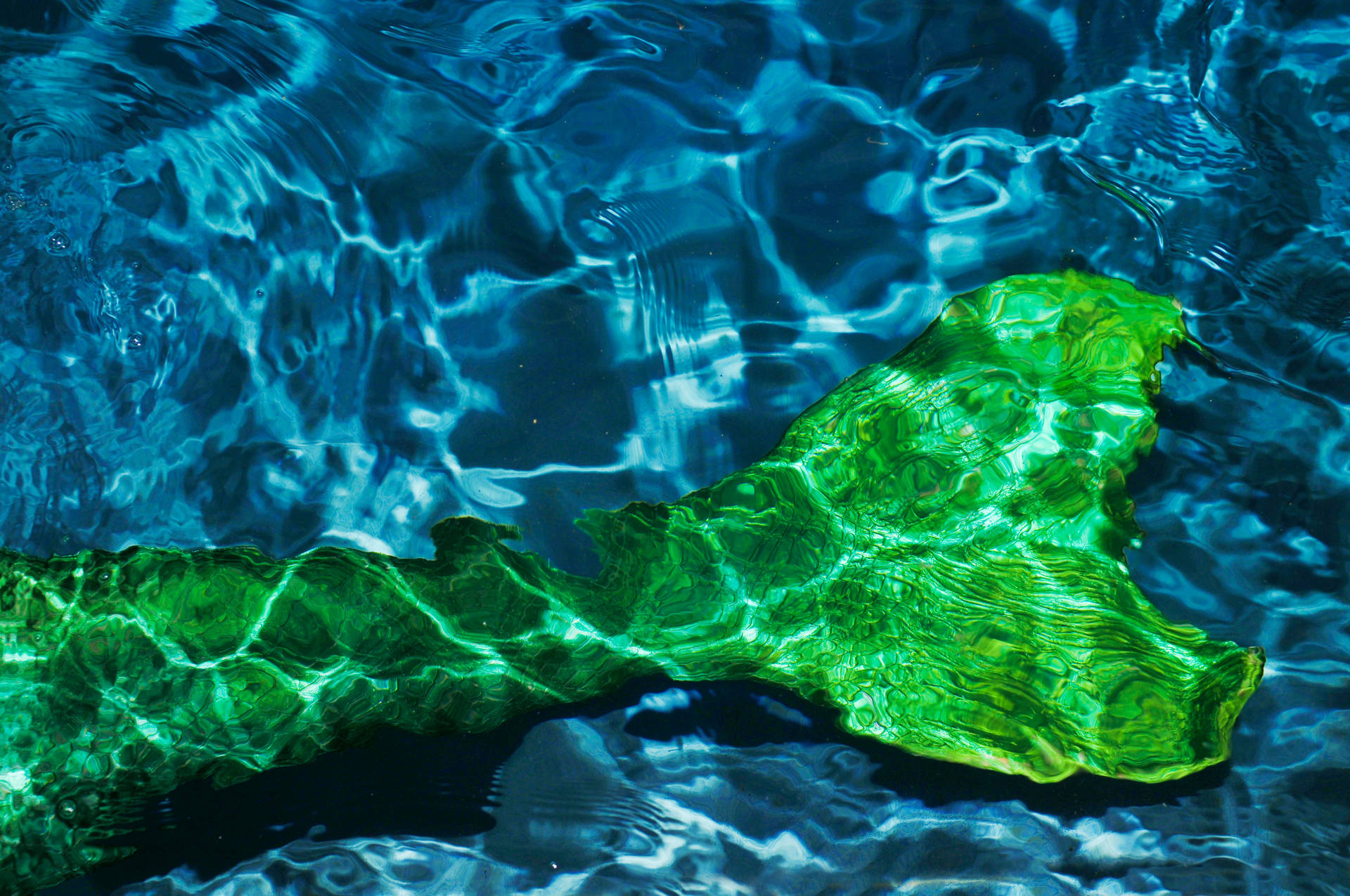 Onderwater Groen Meermin Stert muurpapier.
