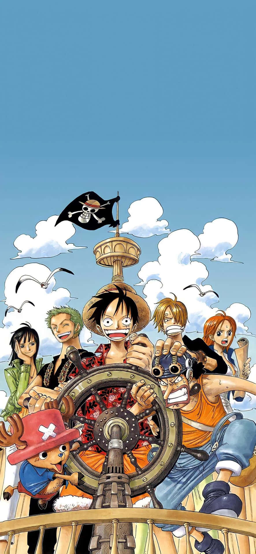 One Piece prente — Een stukkie Muurpapier