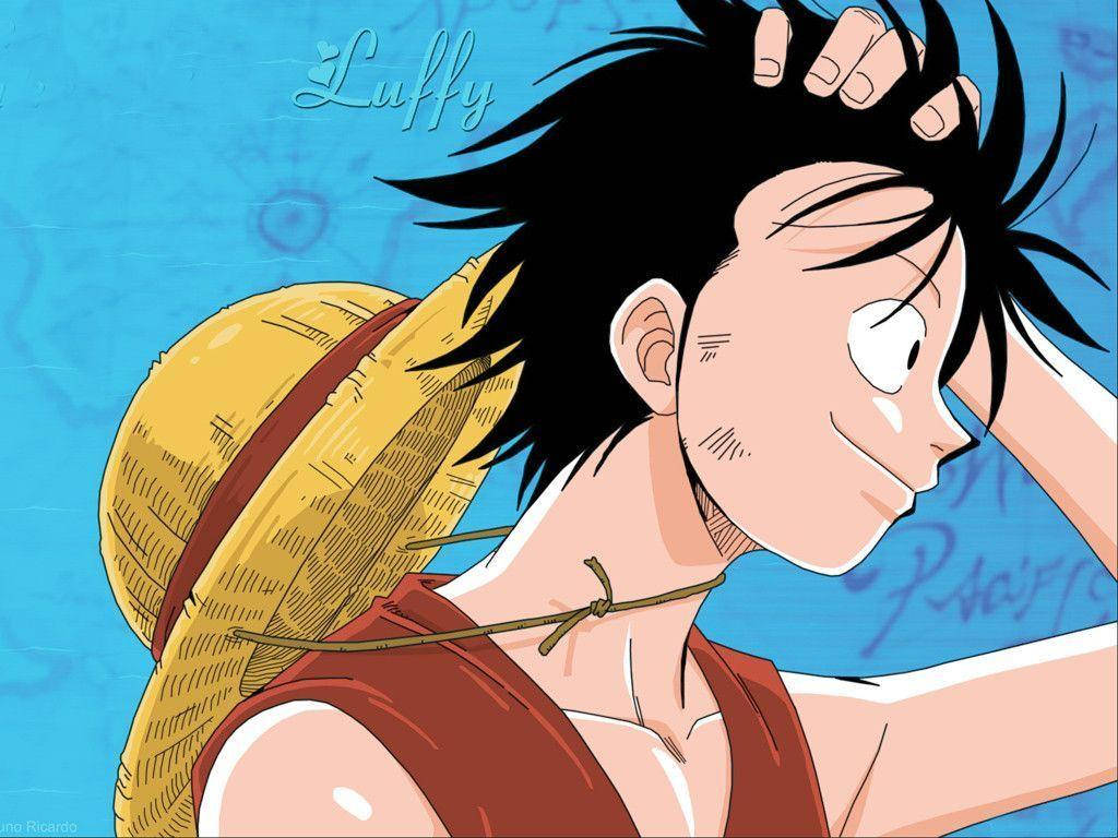 One Piece Monkey D Luffy Muurpapier