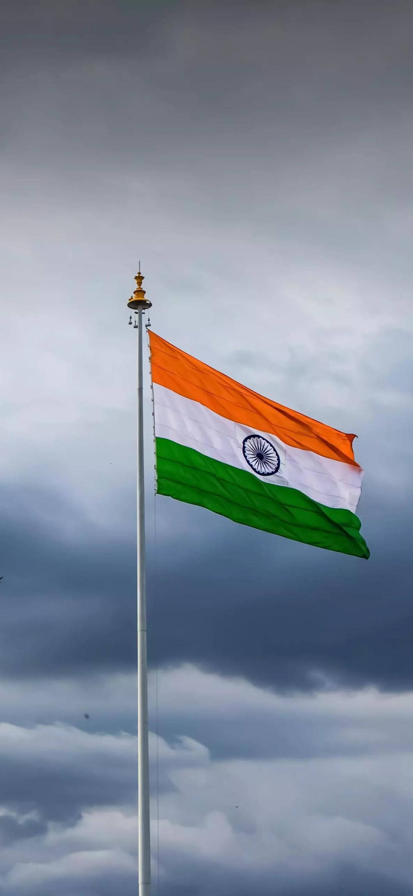 Ongelooflike Indiese Vlag Selfoon Muurpapier