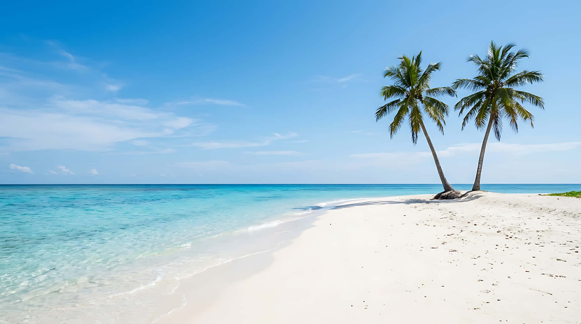 Ongerepte Tropiese Strand met Wit Sand en Twee Palmbome, Kristalhelder Turkoois Oseaan onder Blou Muurpapier
