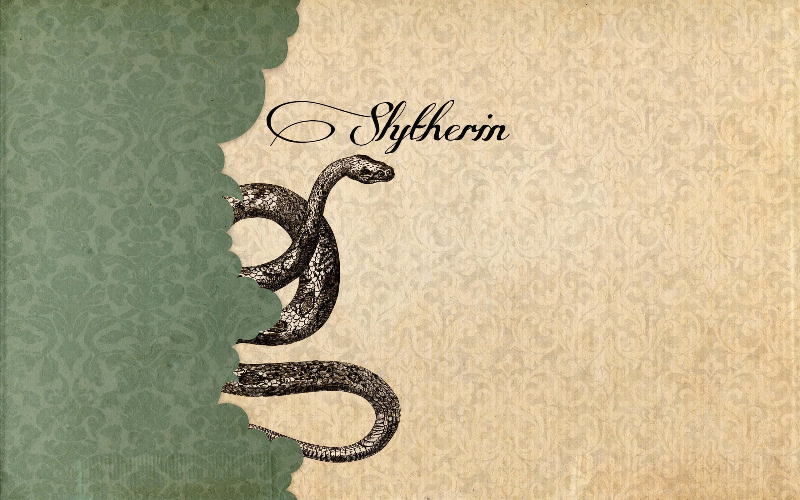Ontdek die geheimsinnige sjarme van Slytherin Estetika 🐍 Muurpapier
