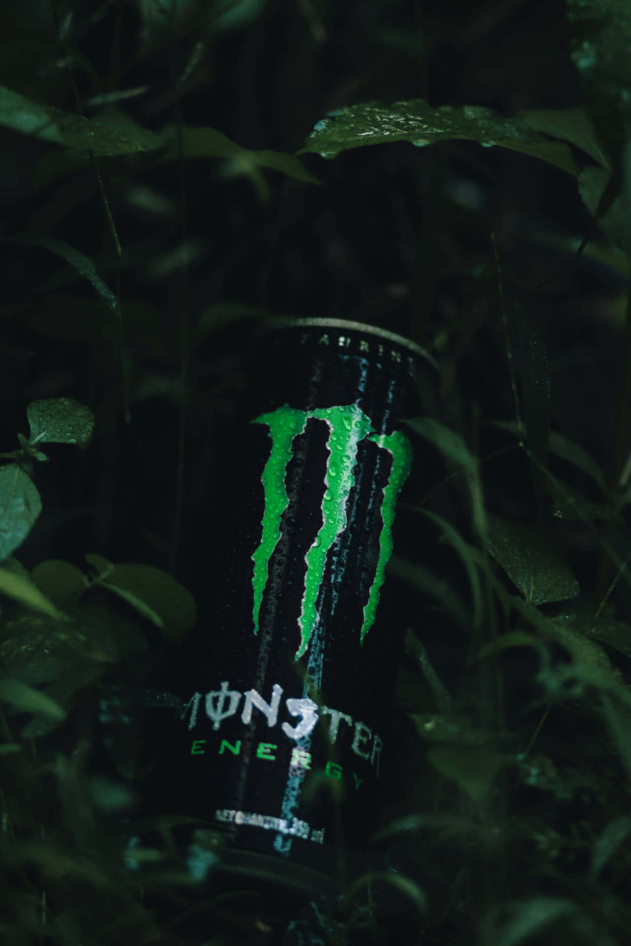 Ontketen die dier met Monster Energy Muurpapier