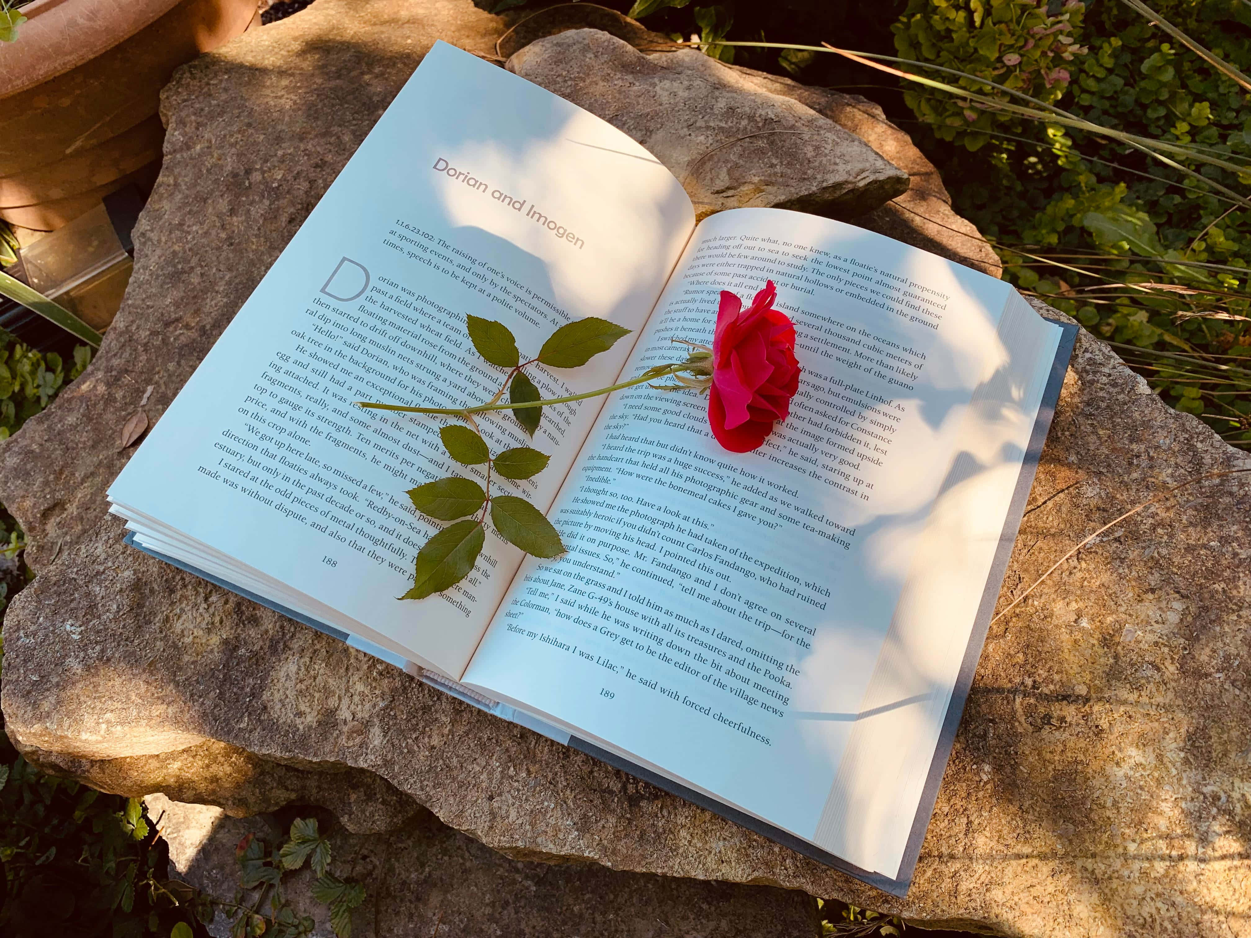 "Ontsnap in die wêreld van boeke, met 'n skeut grilligheid en ontspanning." Muurpapier