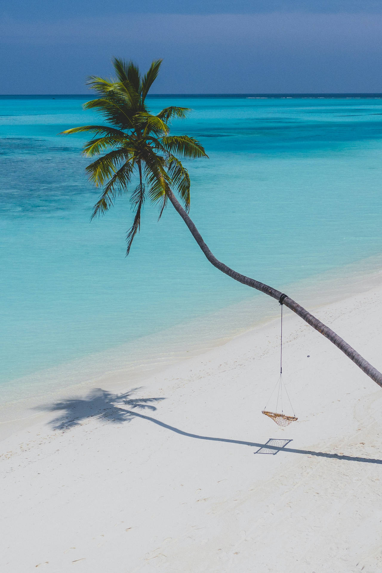 Estetiese klapperboom op 'n tropiese strand agtergrond.