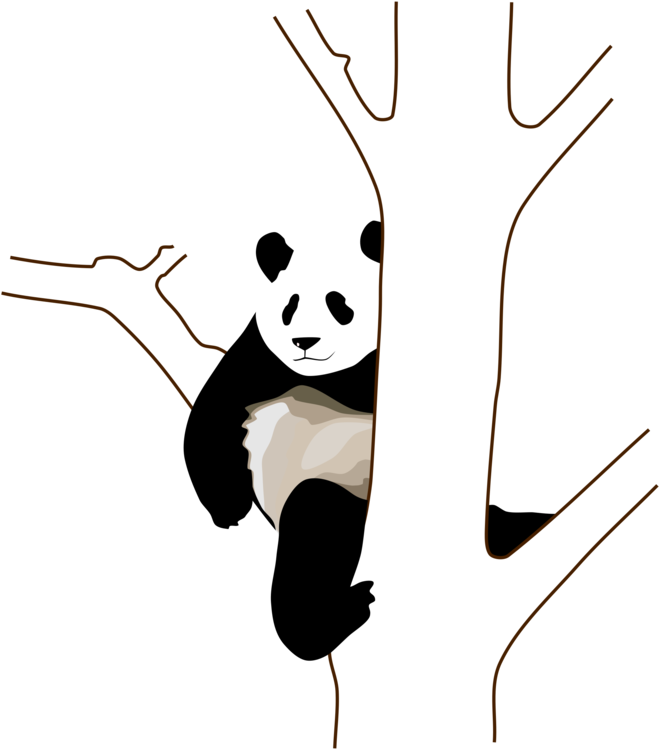 Ontspanne Panda wat aan Boom Vasklou Muurpapier
