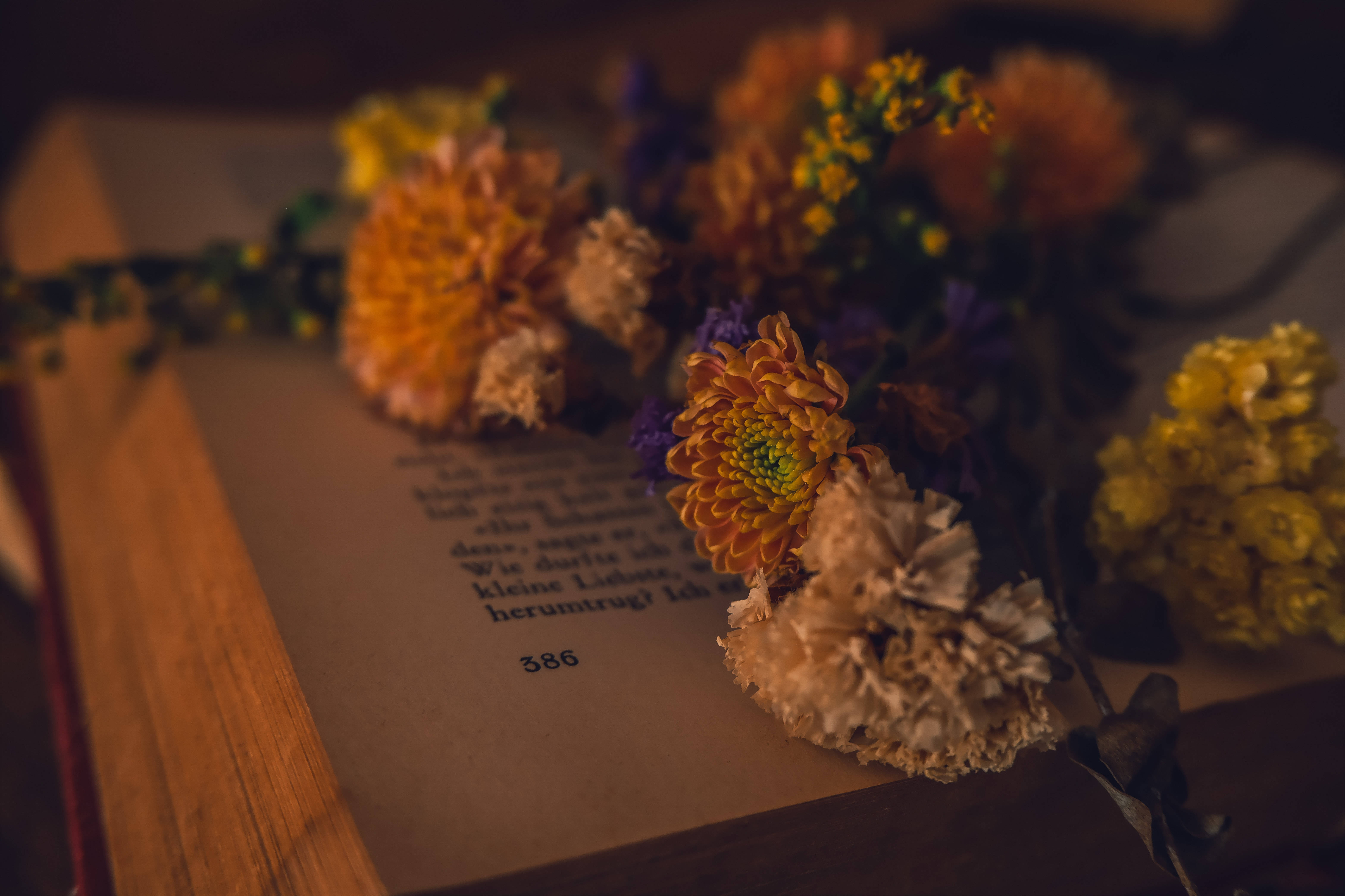 Oop Boek met Blomme Donker Akademie Buroblad Muurpapier