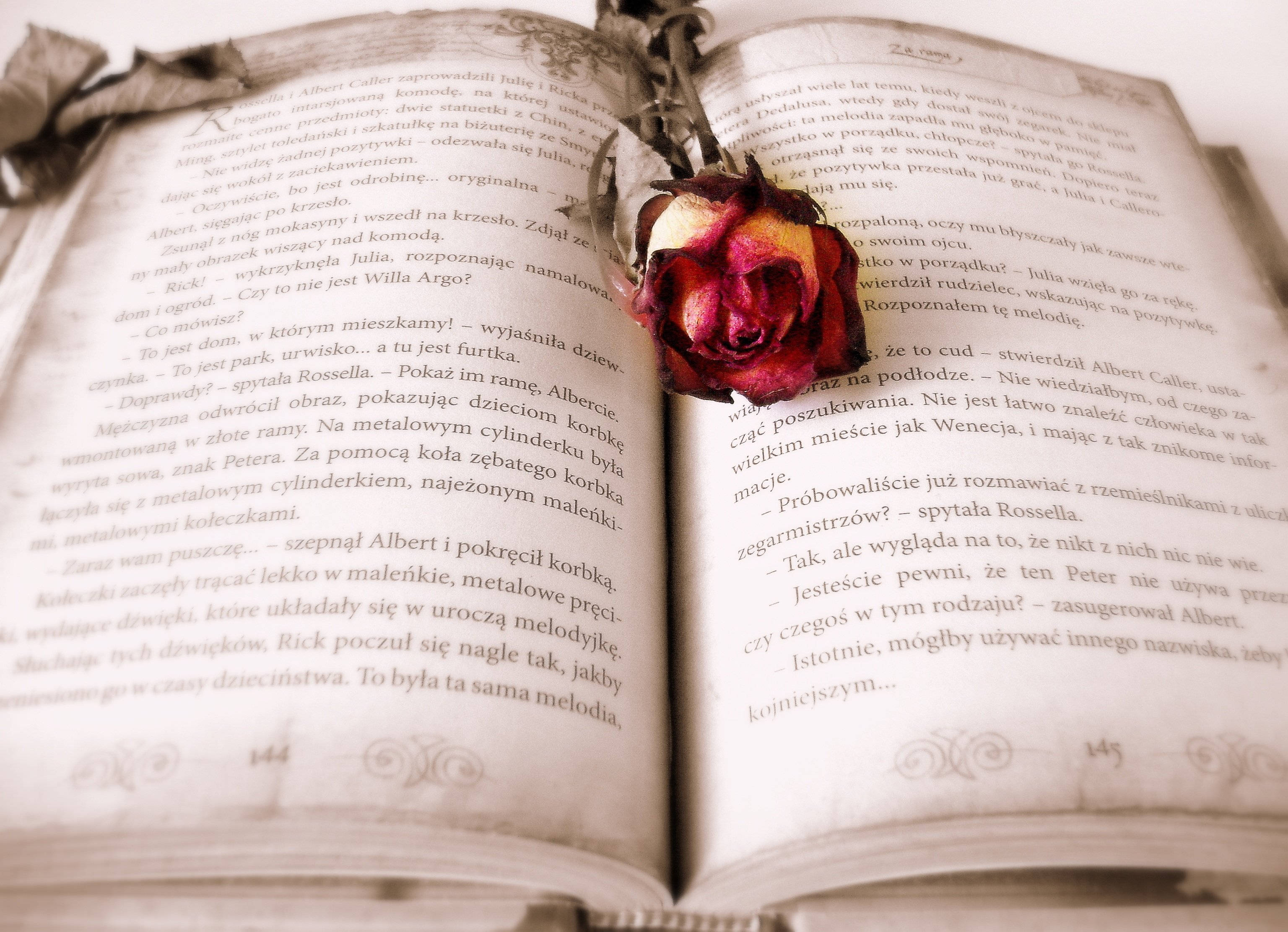 Oop Boek Rooi Roos Estetika Muurpapier