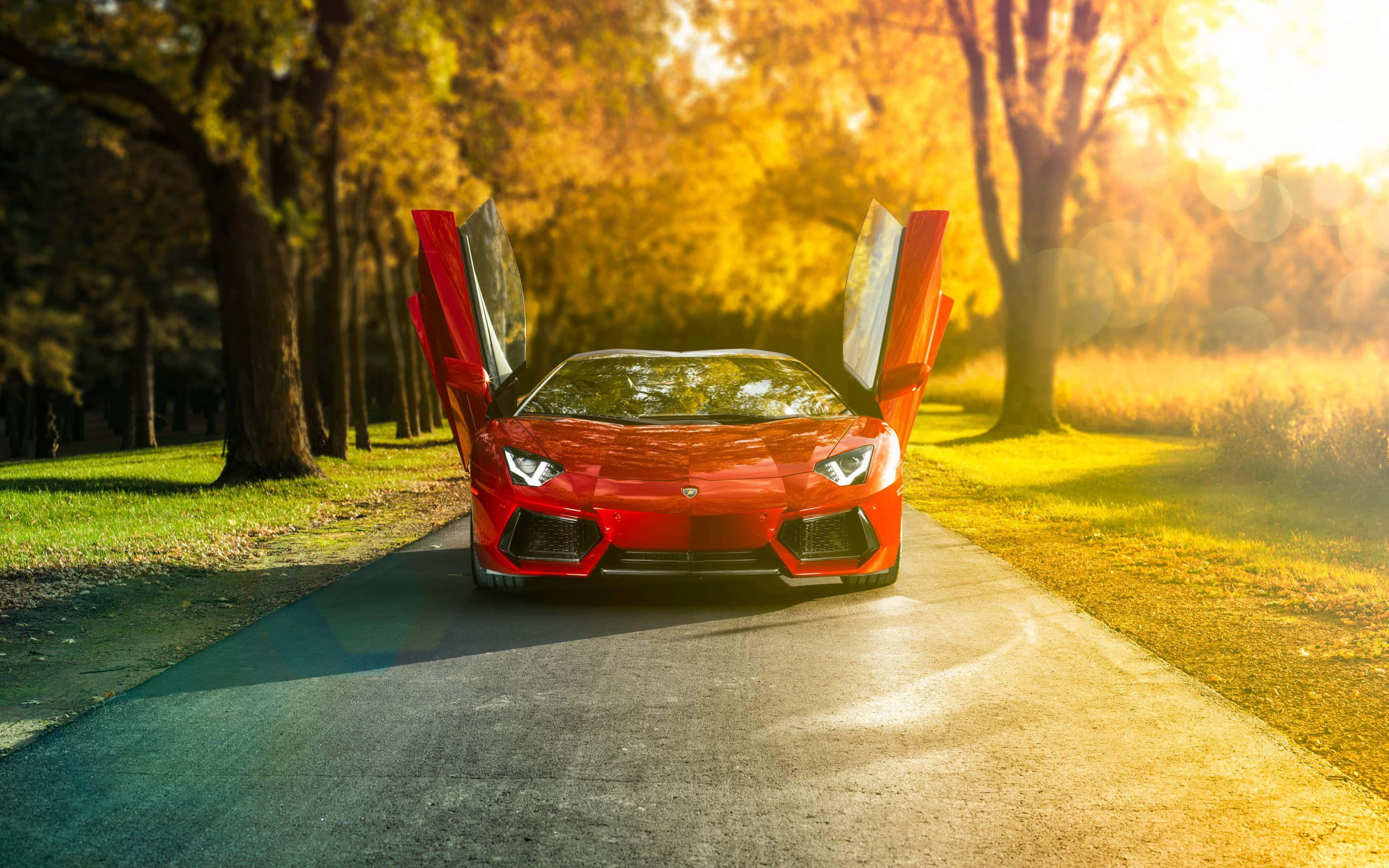 Oop Deur Lamborghini Aventador Muurpapier