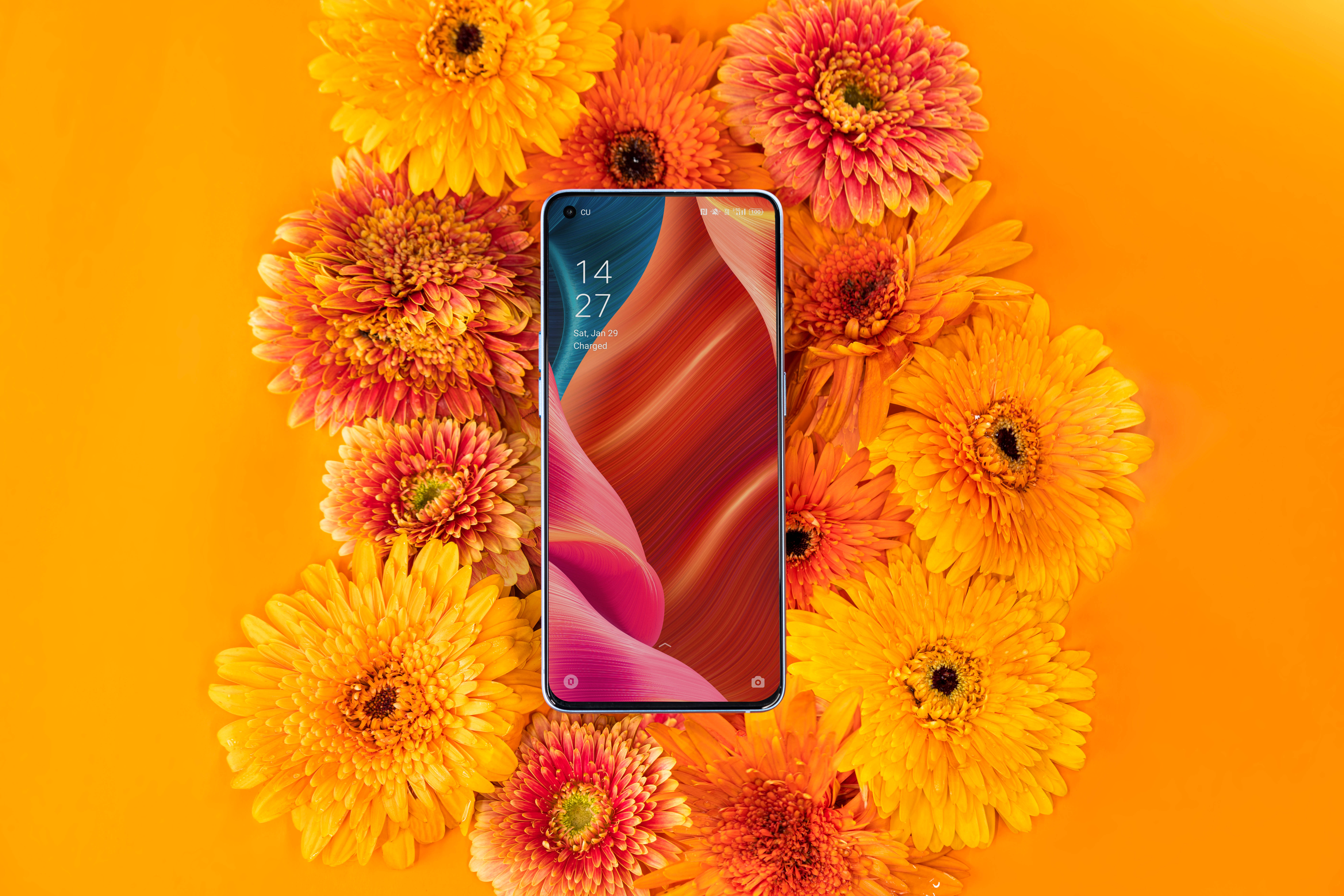 Oppo Slimfoon en Welige Flora Muurpapier
